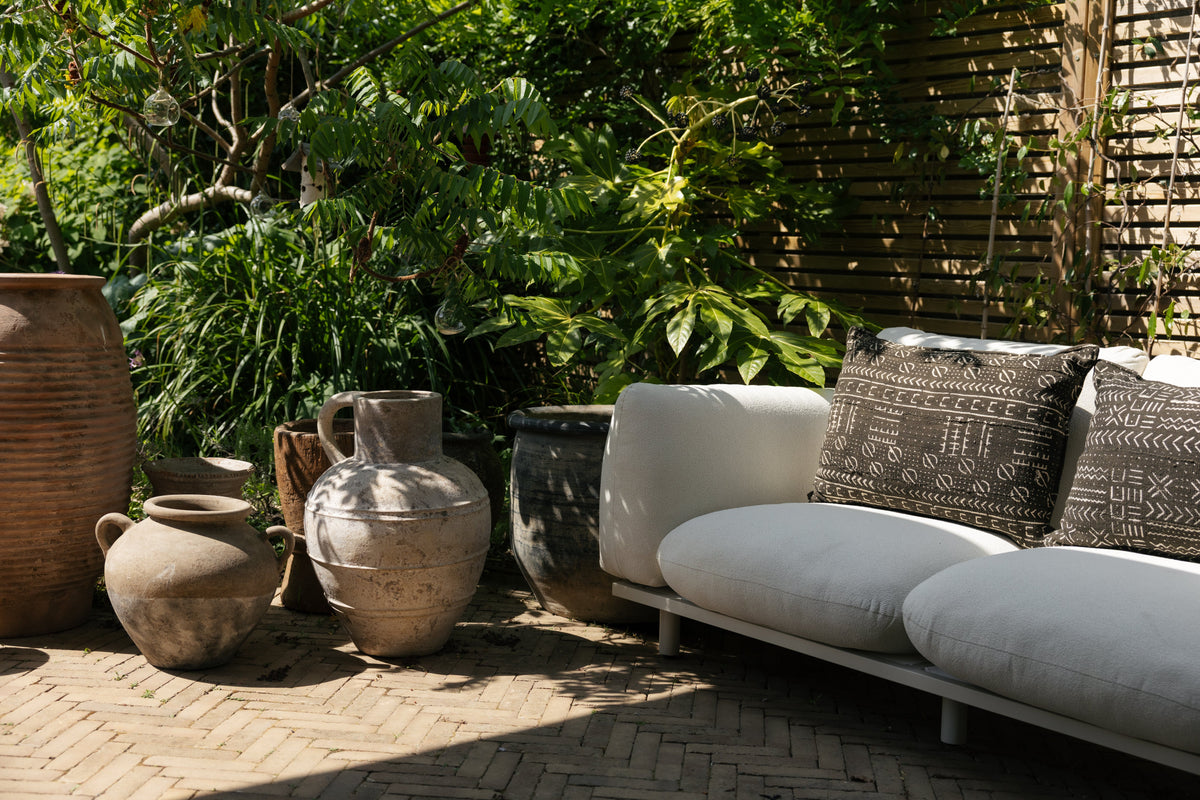 Botanical Boys – Laura Home lifestyle shoot