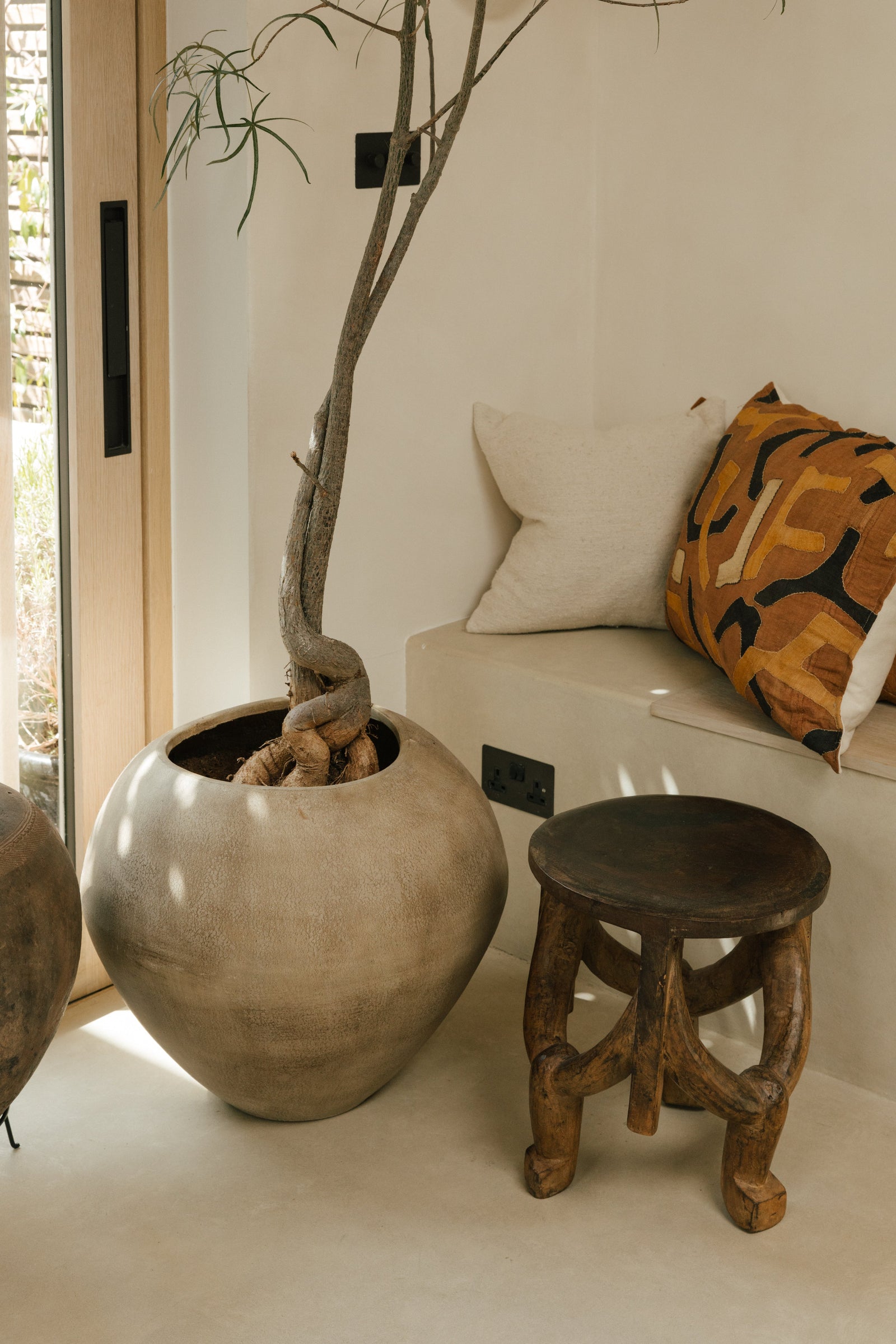 Botanical Boys – Laura Home lifestyle shoot