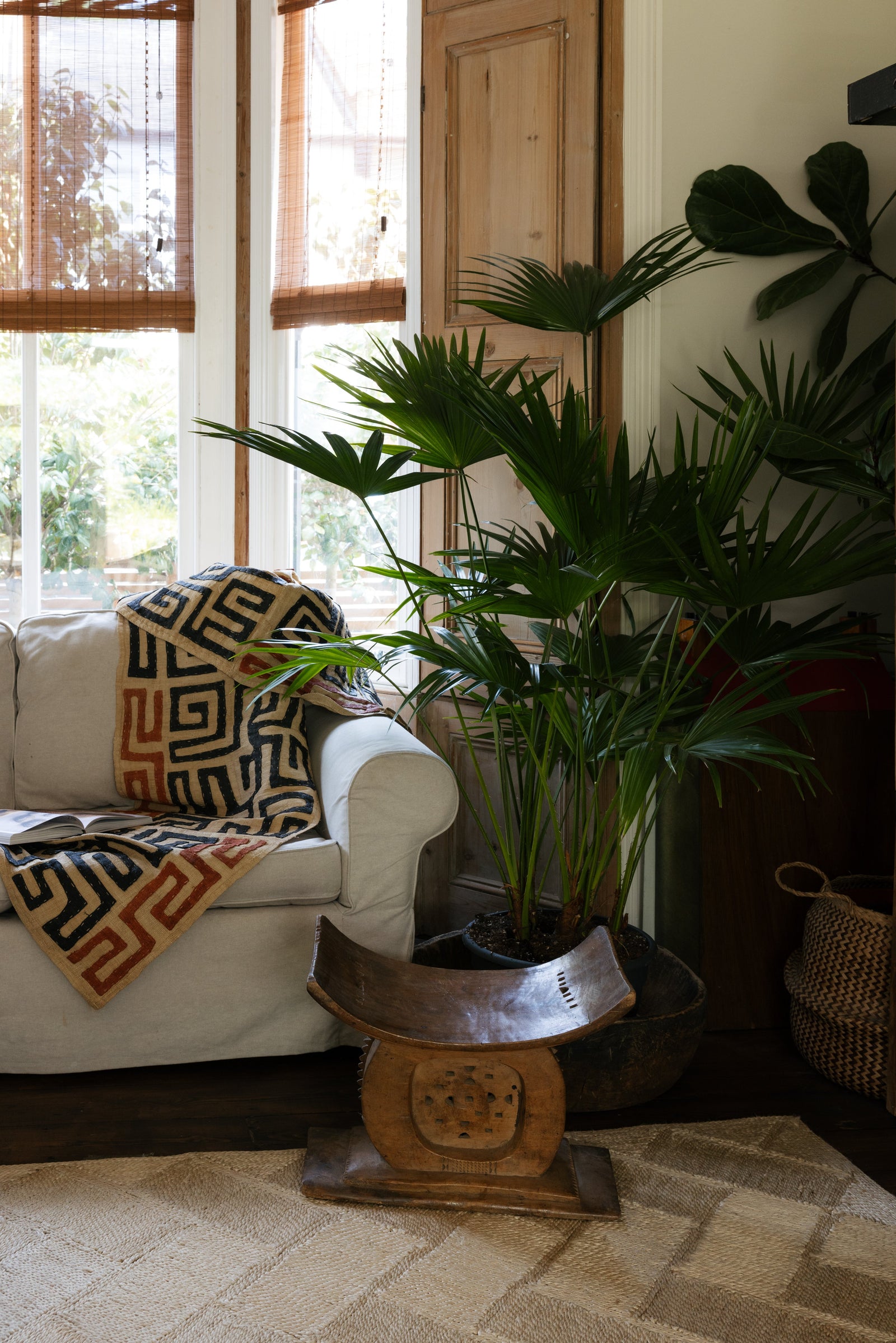 Botanical Boys – Laura Home lifestyle shoot