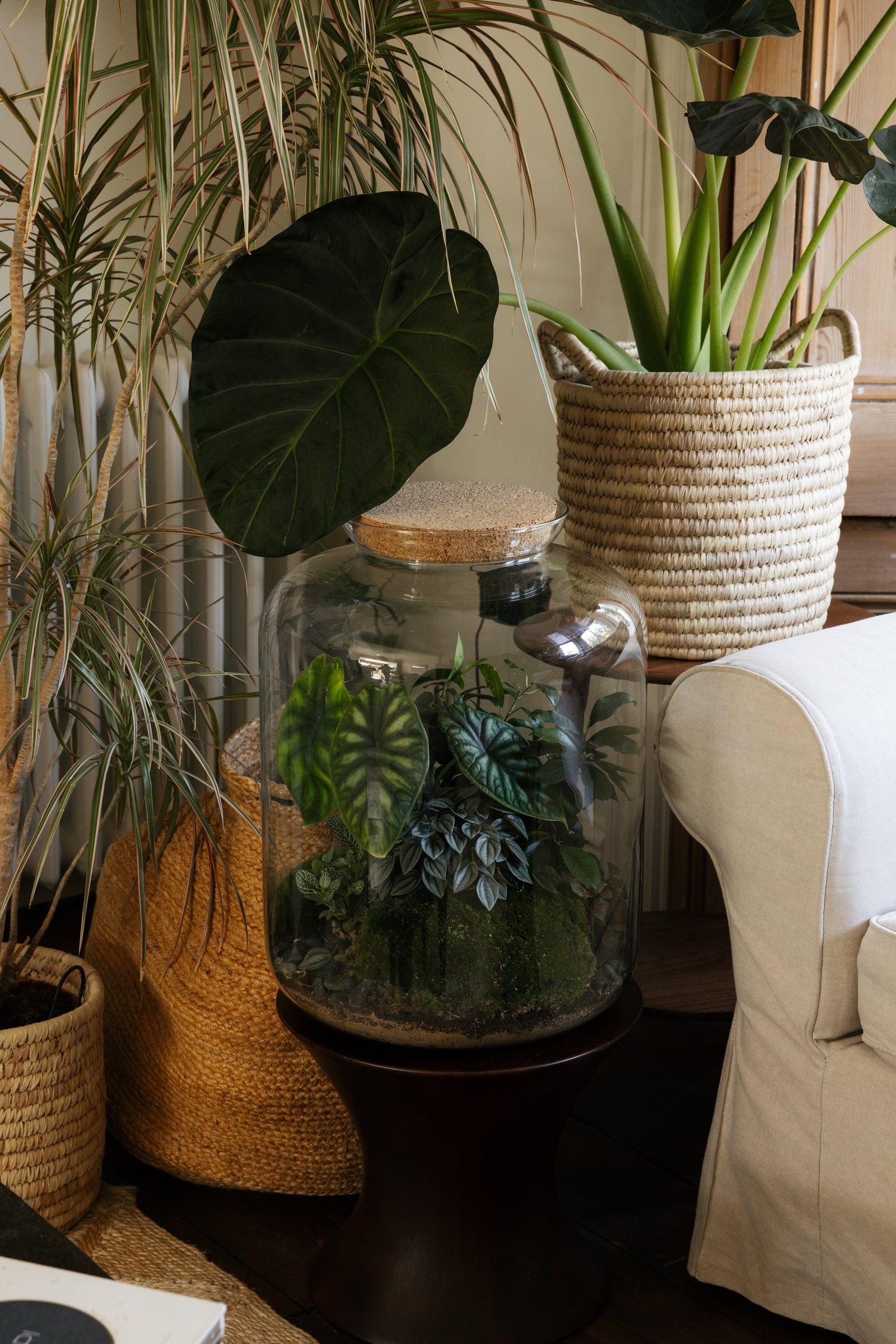 Botanical Boys – Laura Home lifestyle shoot