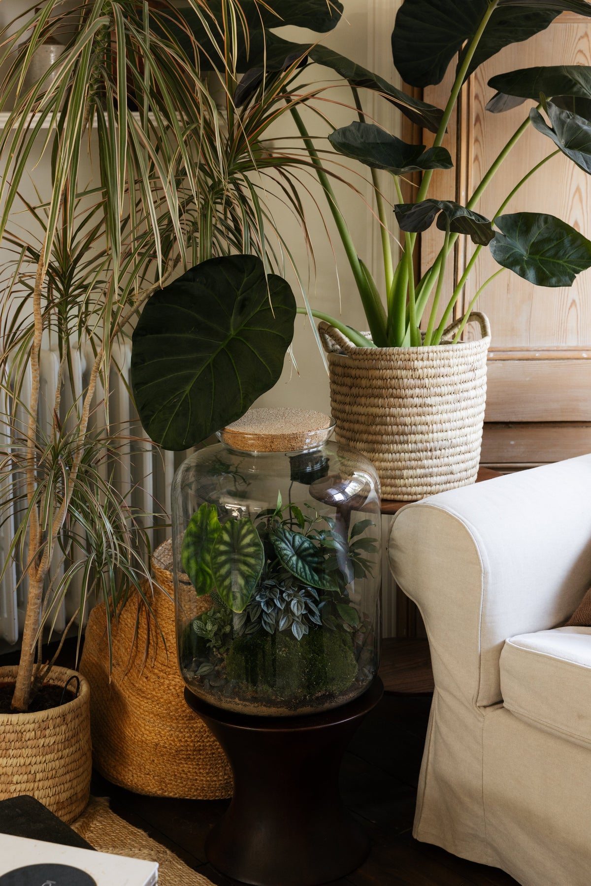 Botanical Boys – Laura Home lifestyle shoot