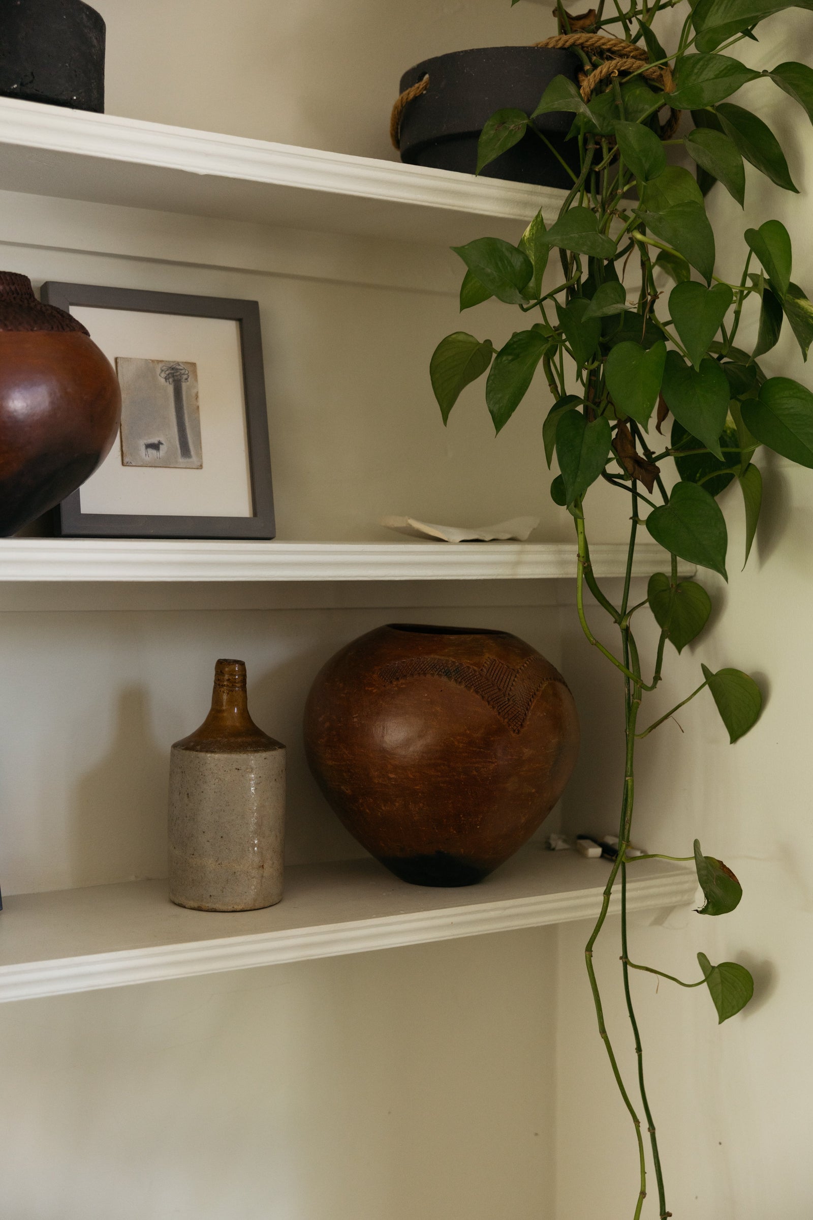 Botanical Boys – Laura Home lifestyle shoot