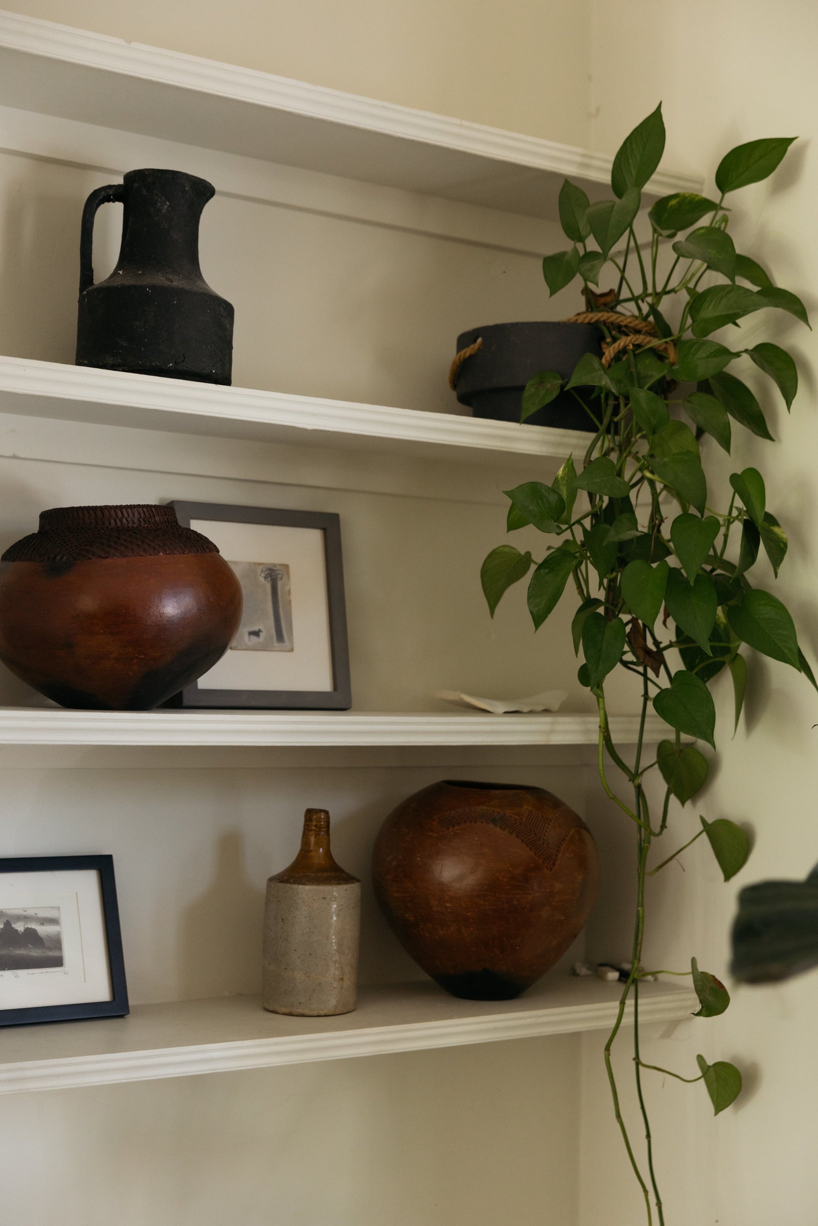 Botanical Boys – Laura Home lifestyle shoot