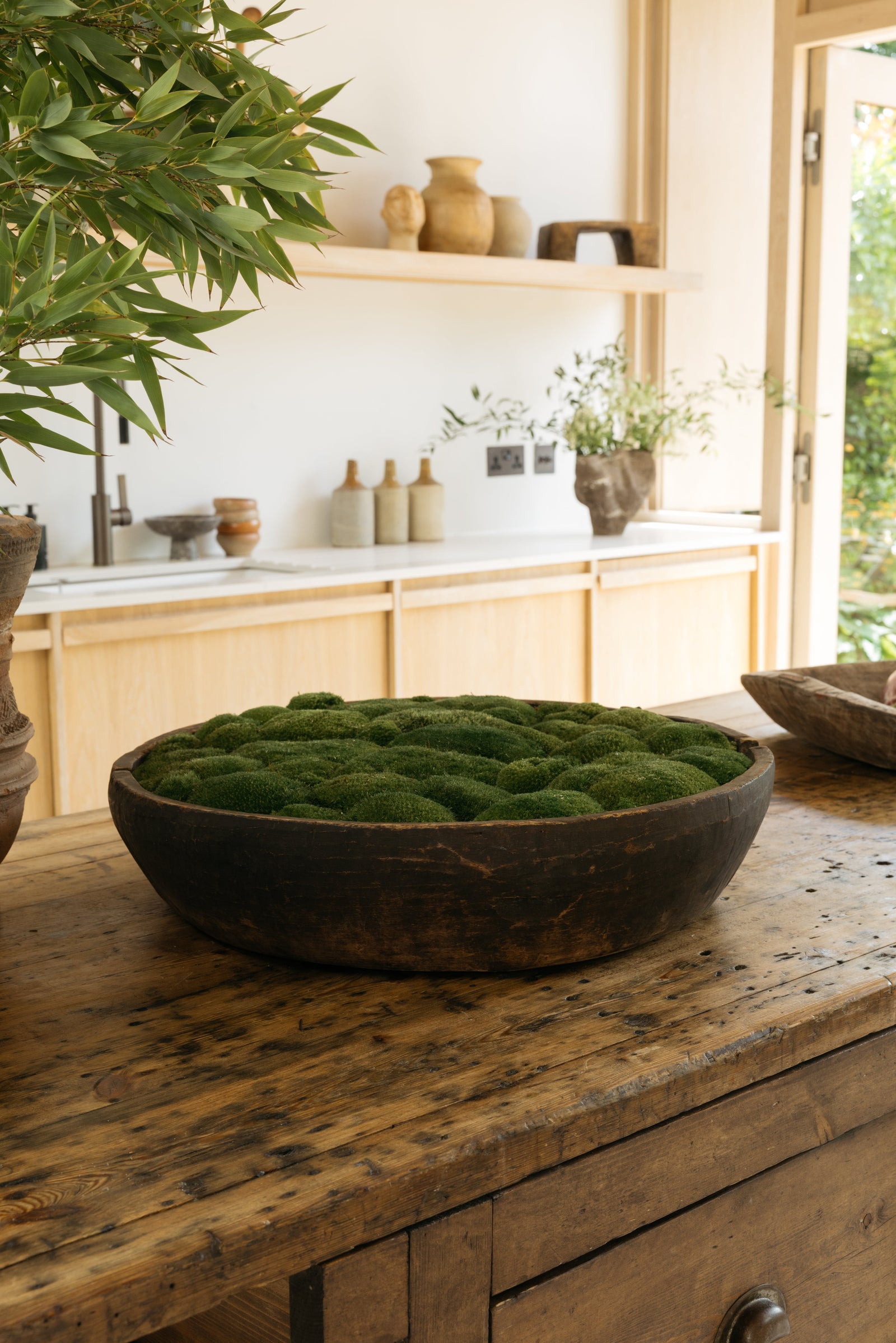 Botanical Boys – Laura Home lifestyle shoot