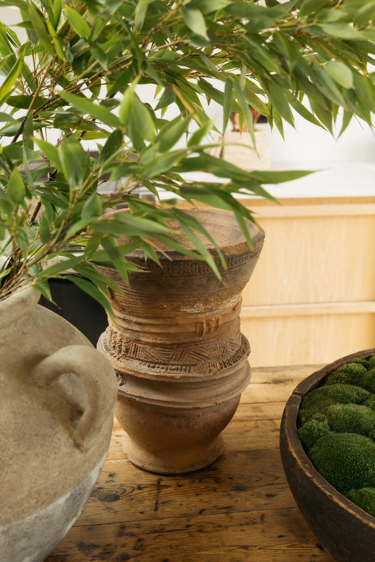 Botanical Boys – Laura Home lifestyle shoot