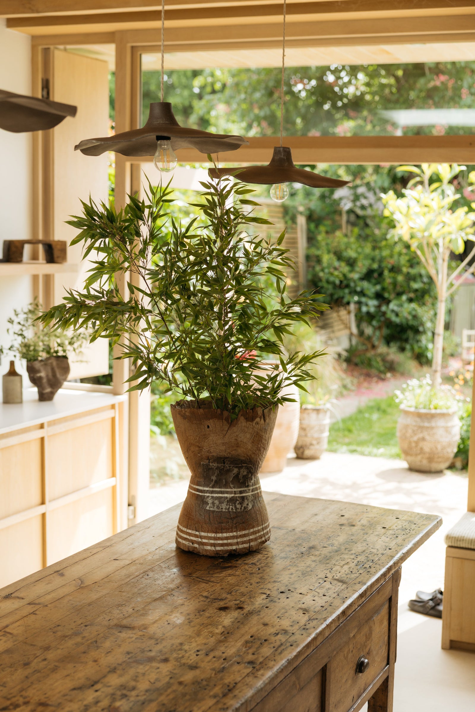 Botanical Boys – Laura Home lifestyle shoot