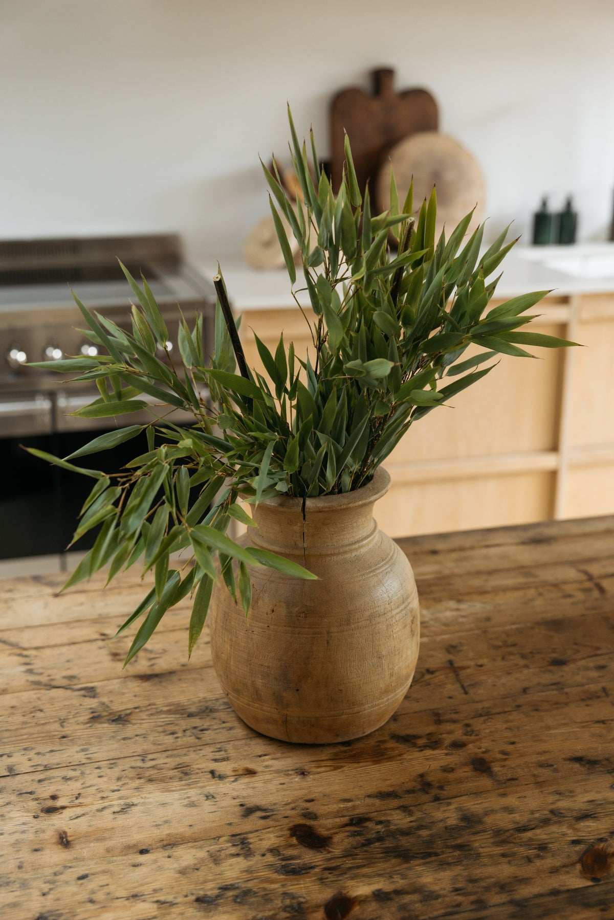 Botanical Boys – Laura Home lifestyle shoot