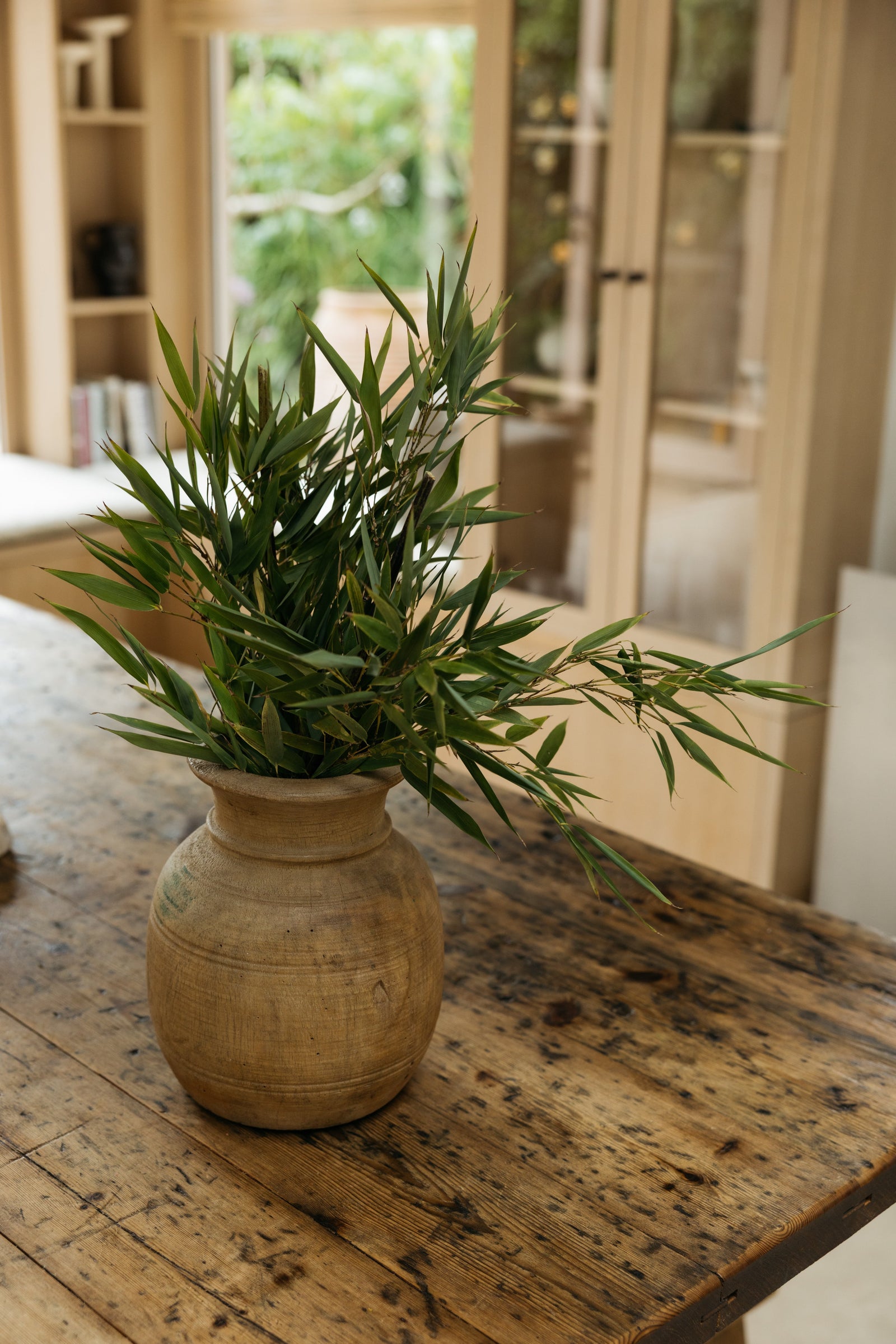 Botanical Boys – Laura Home lifestyle shoot