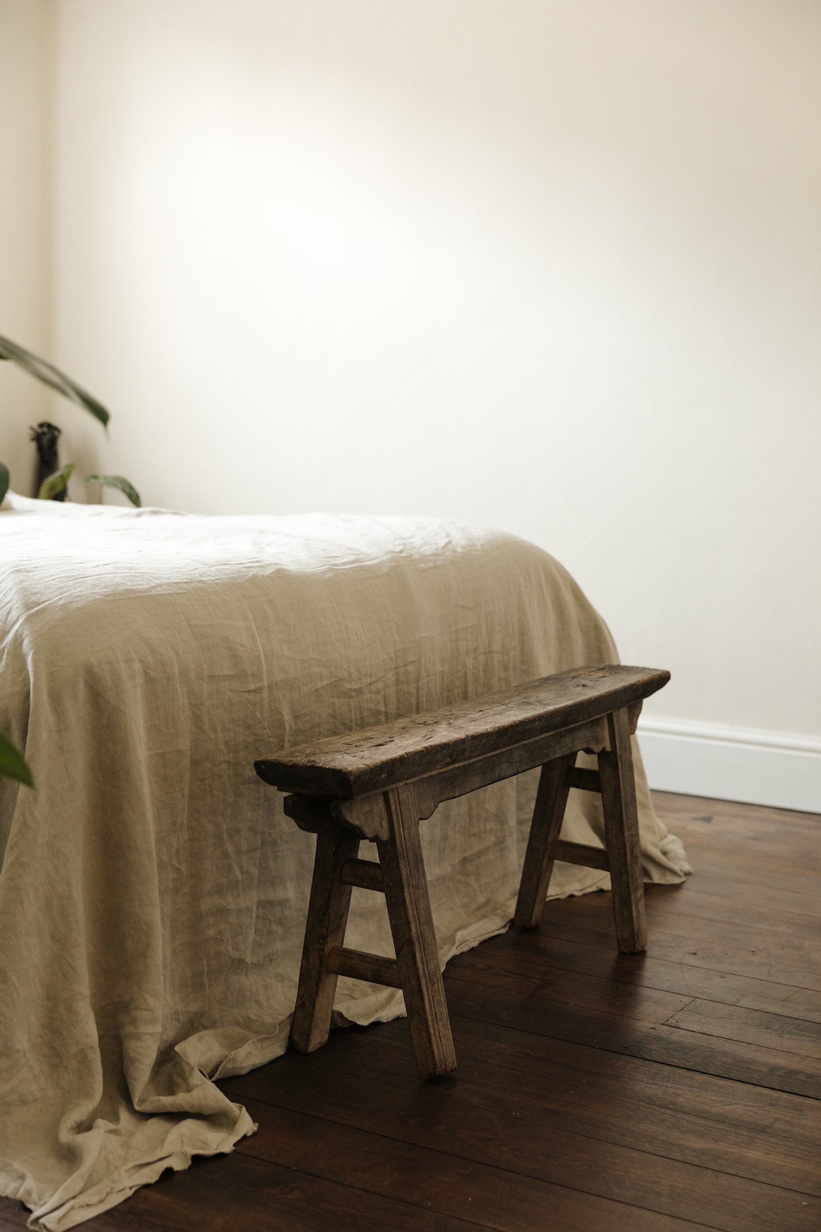 Botanical Boys – Laura Home lifestyle shoot