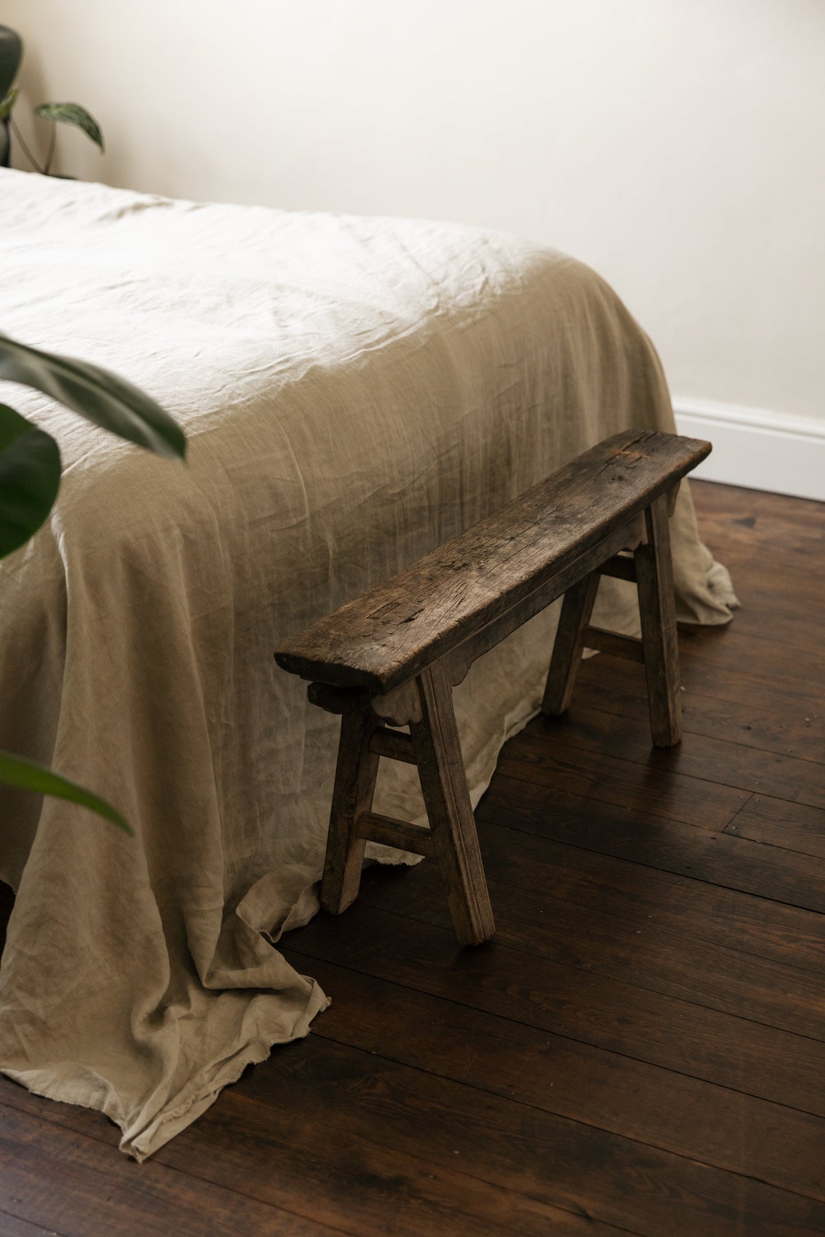 Botanical Boys – Laura Home lifestyle shoot