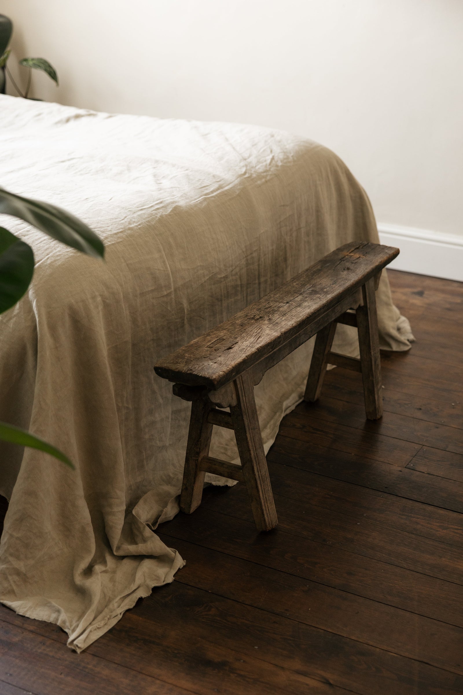 Botanical Boys – Laura Home lifestyle shoot