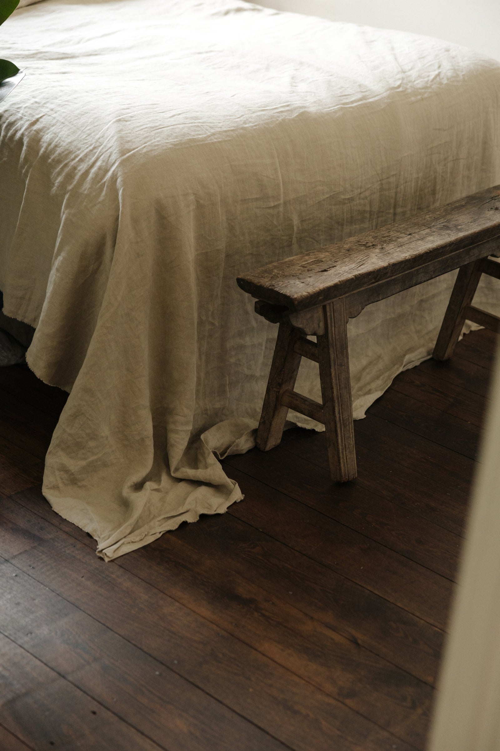 Botanical Boys – Laura Home lifestyle shoot