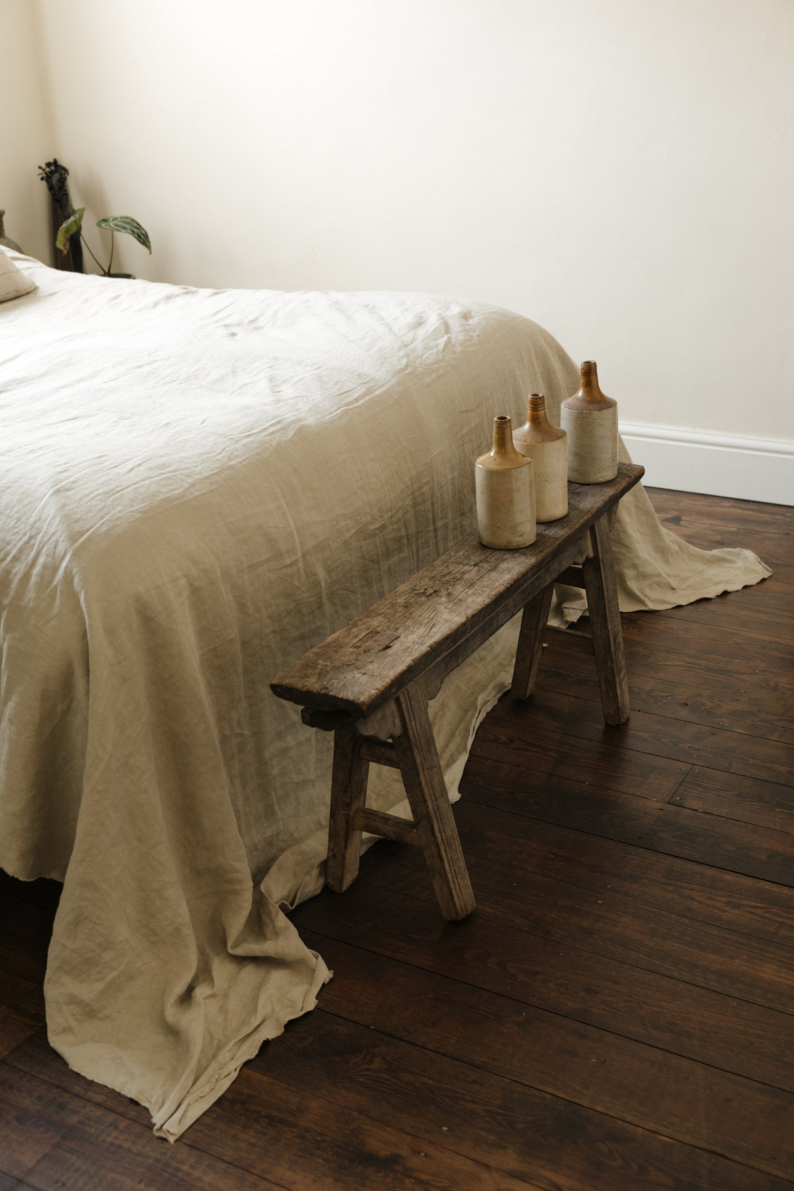 Botanical Boys – Laura Home lifestyle shoot