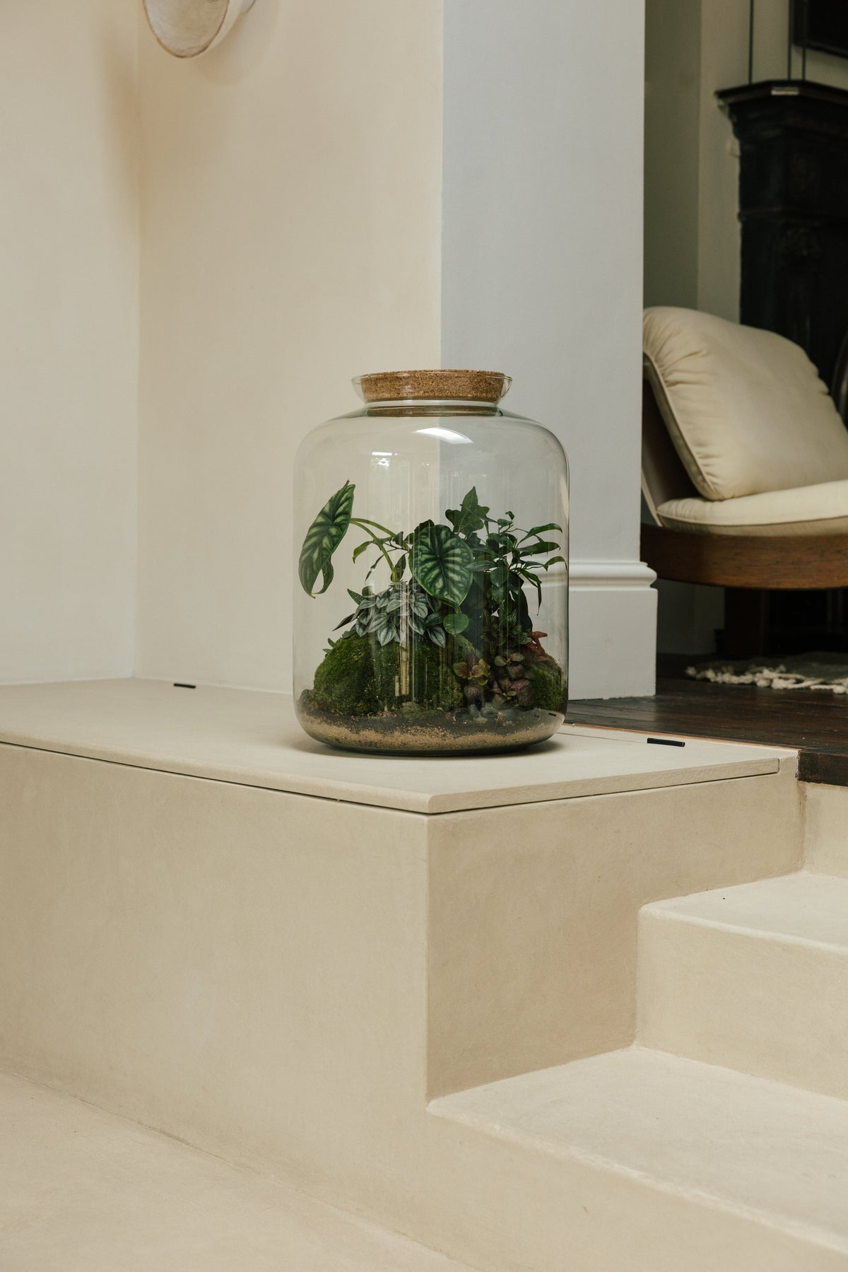 Botanical Boys – Laura Home lifestyle shoot