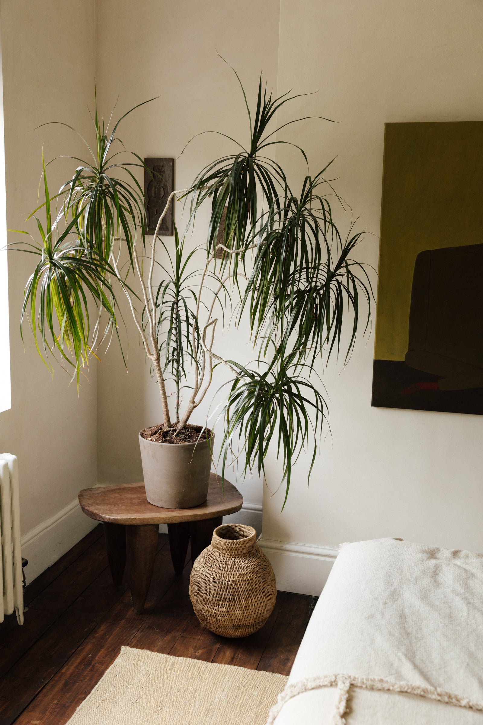 Botanical Boys – Laura Home lifestyle shoot