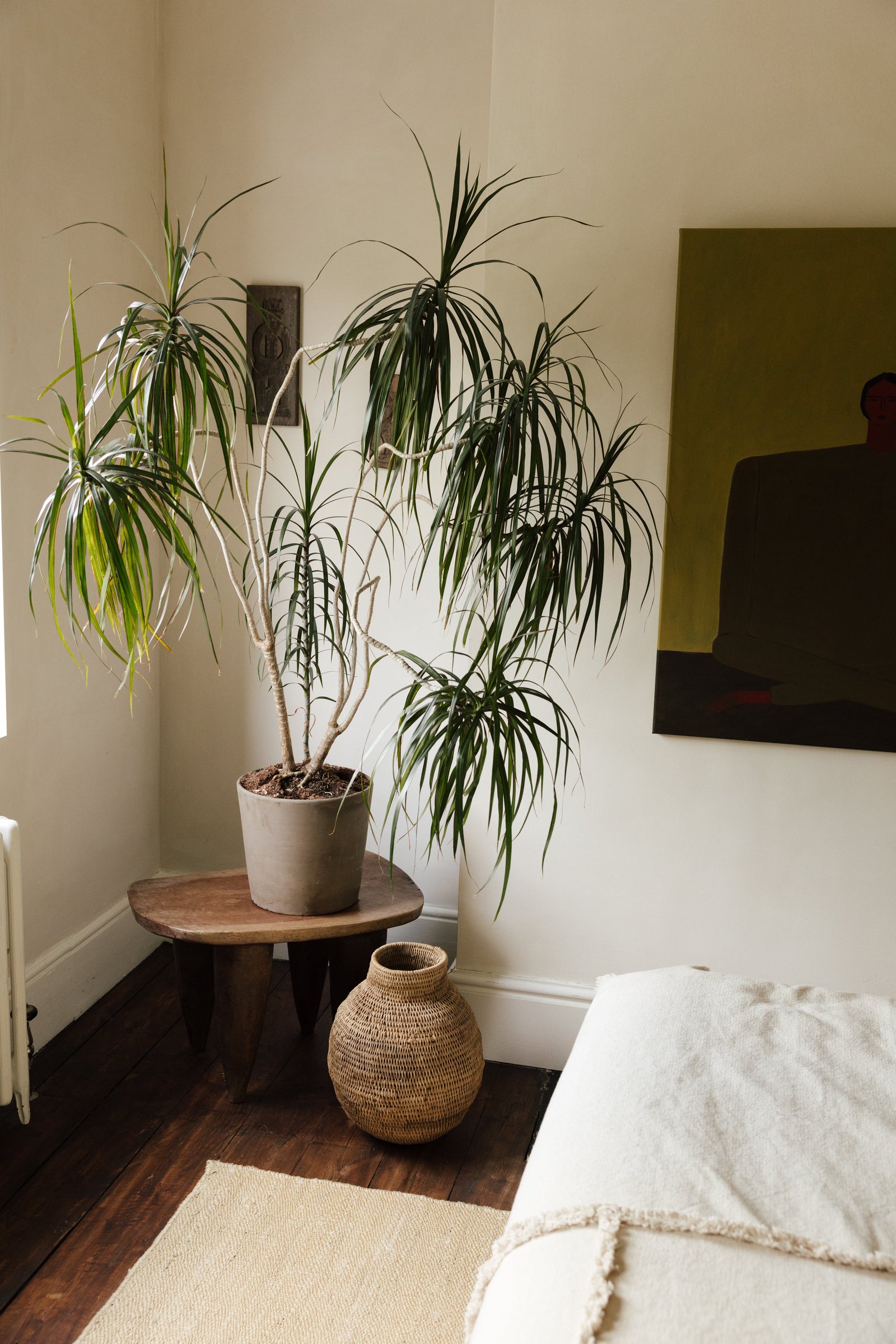 Botanical Boys – Laura Home lifestyle shoot