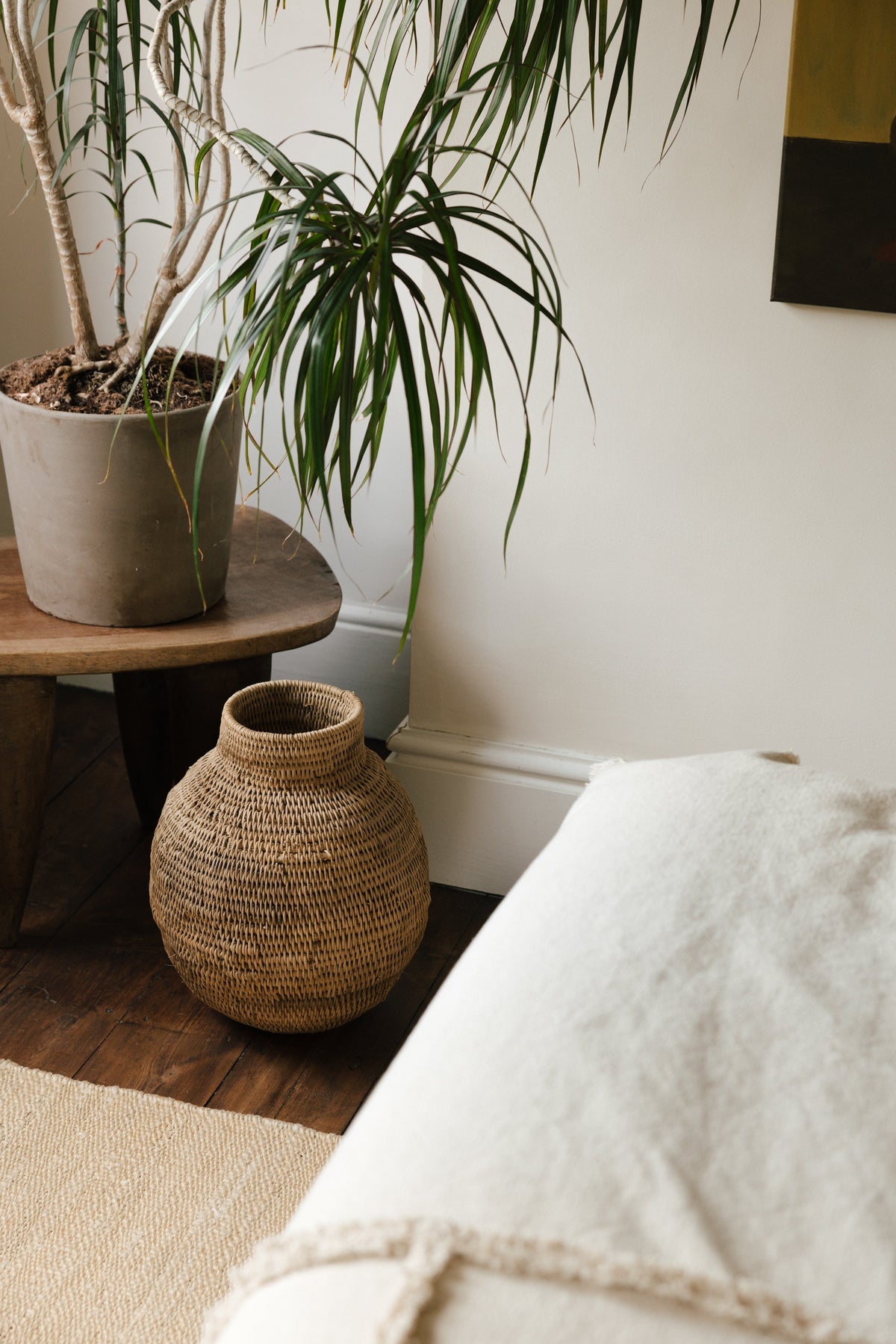 Botanical Boys – Laura Home lifestyle shoot