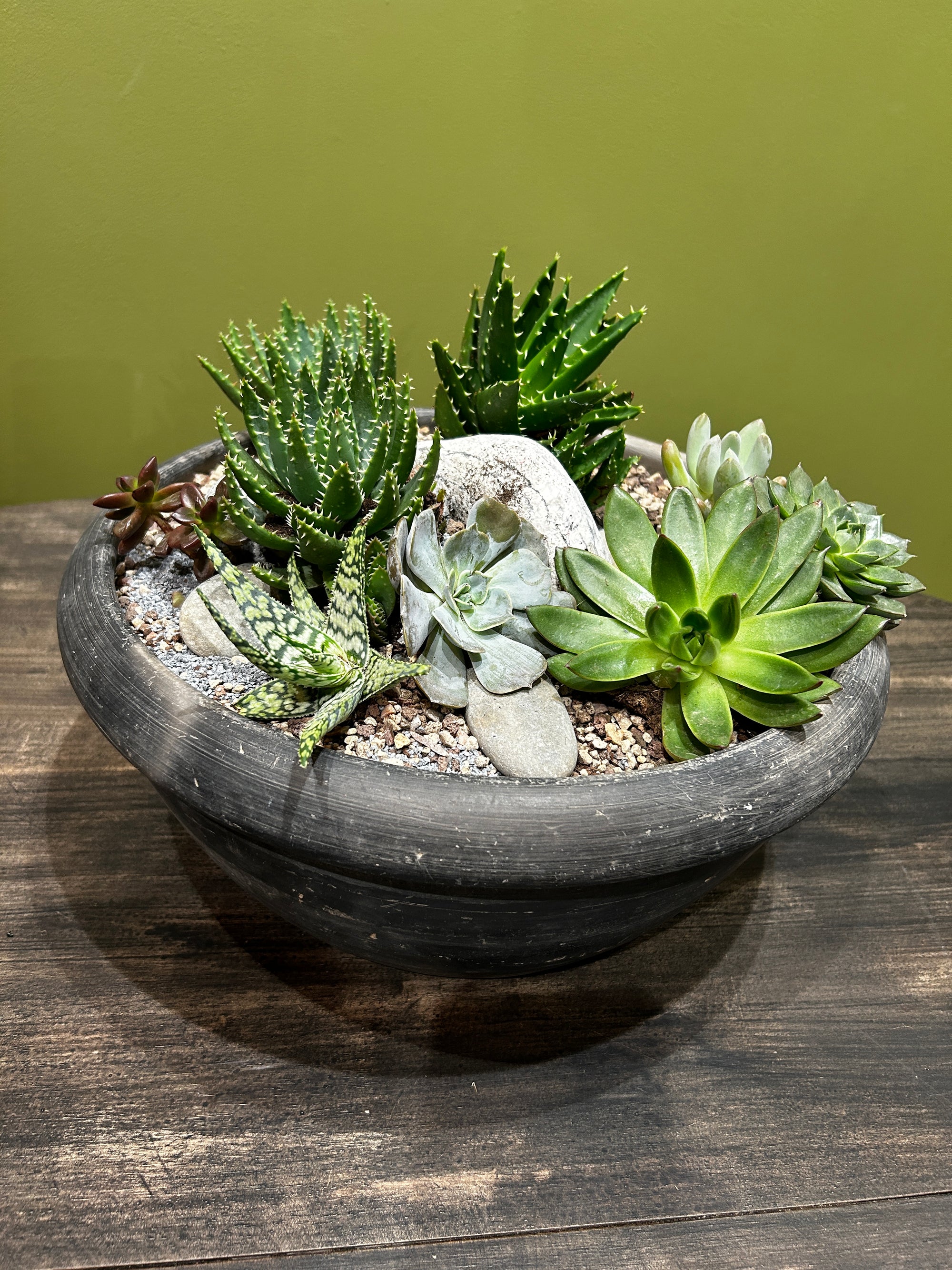 Succulent Garden in Old Black Asian Bowl FR62