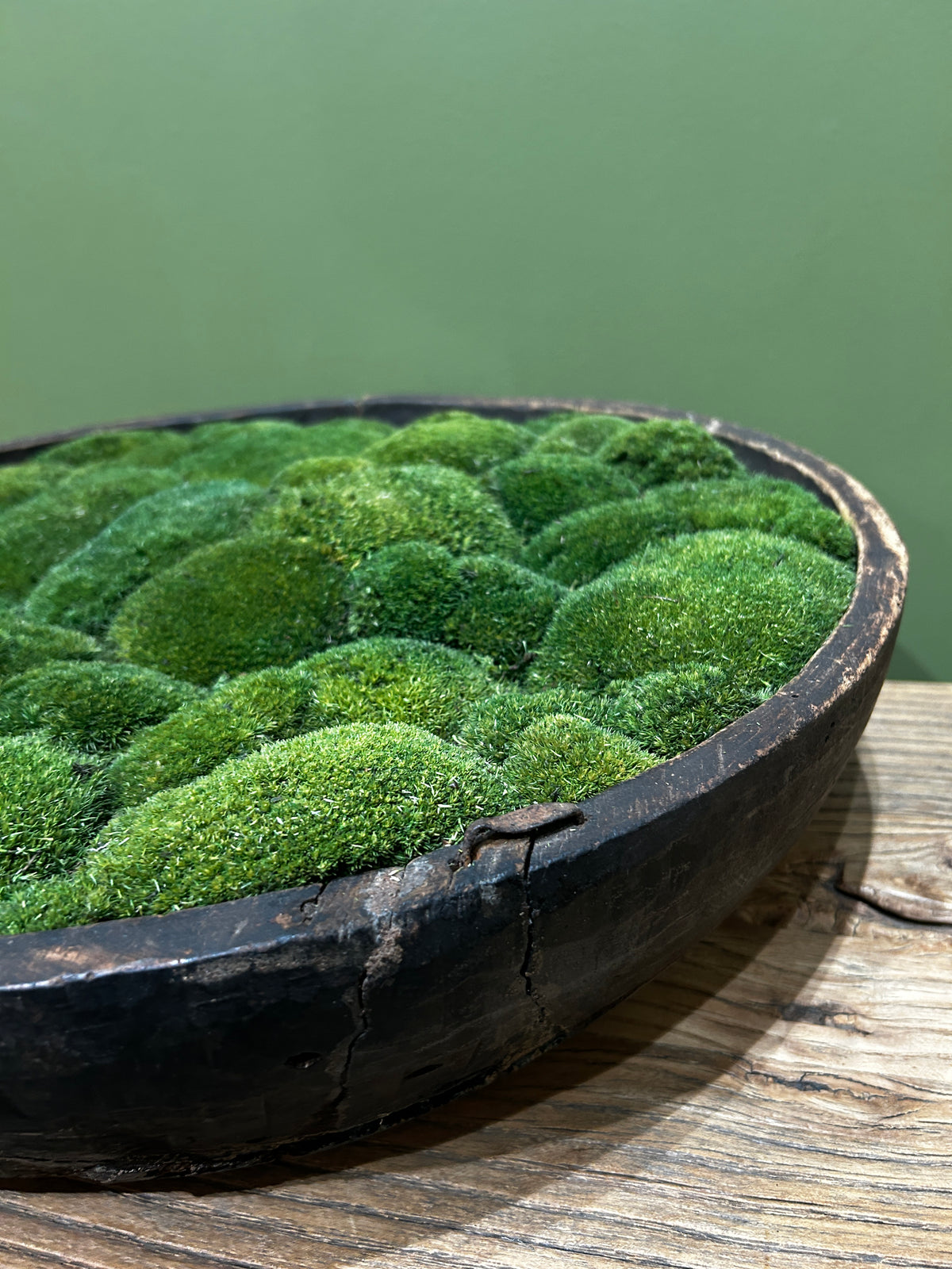 Vintage Wooden Bowl with moss FR65