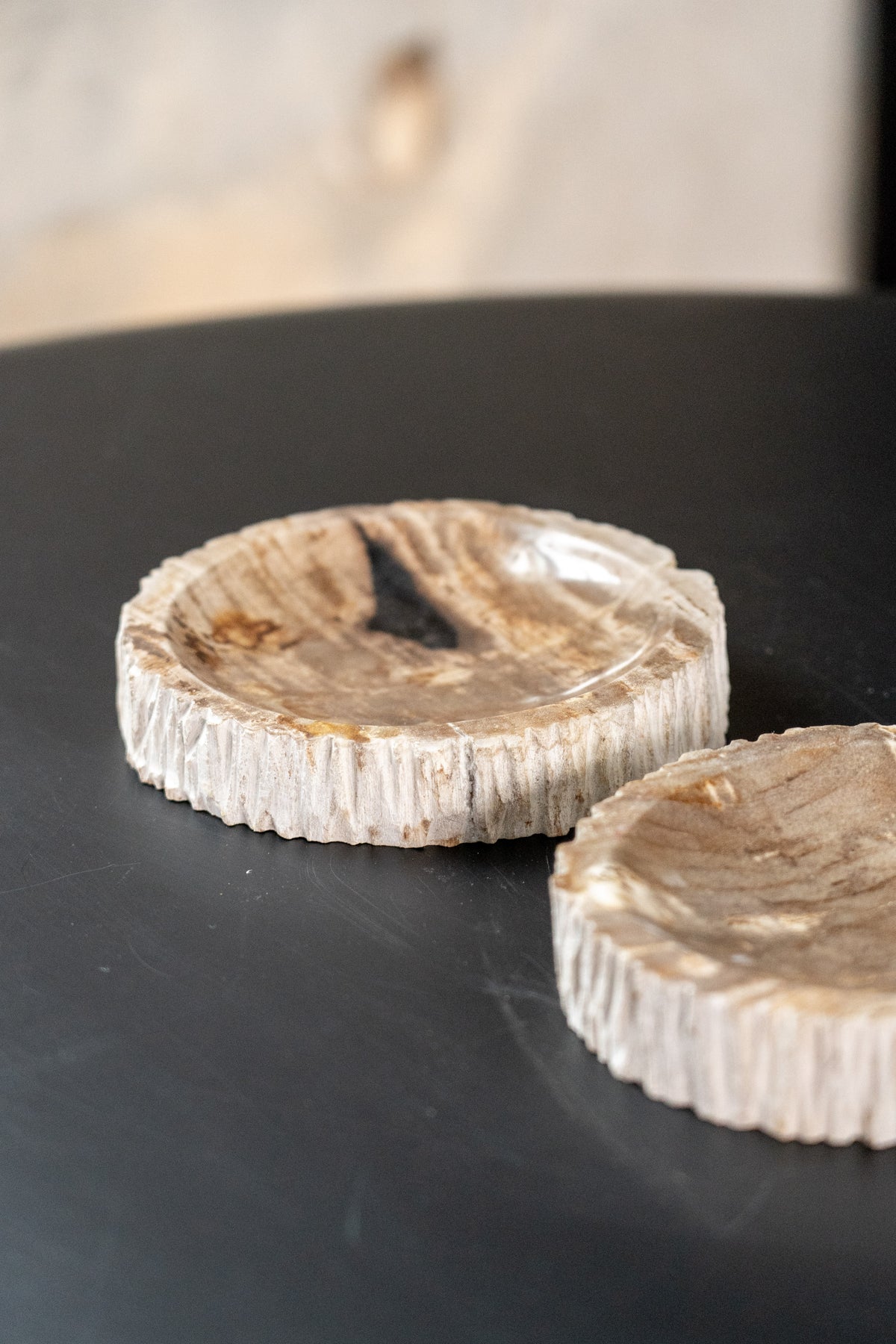 Petrified Wood Tray SML
