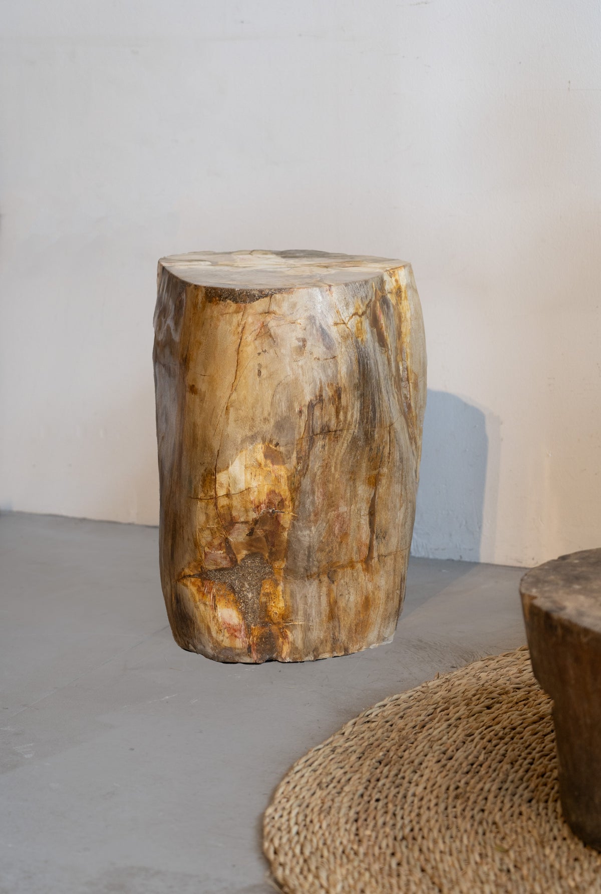 Petrified Wood Side Table \ Stool