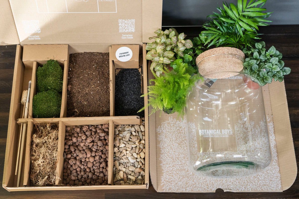 Cork jar terrarium kit - Large
