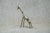 Tuareg Brass animals - Giraffe 43.2