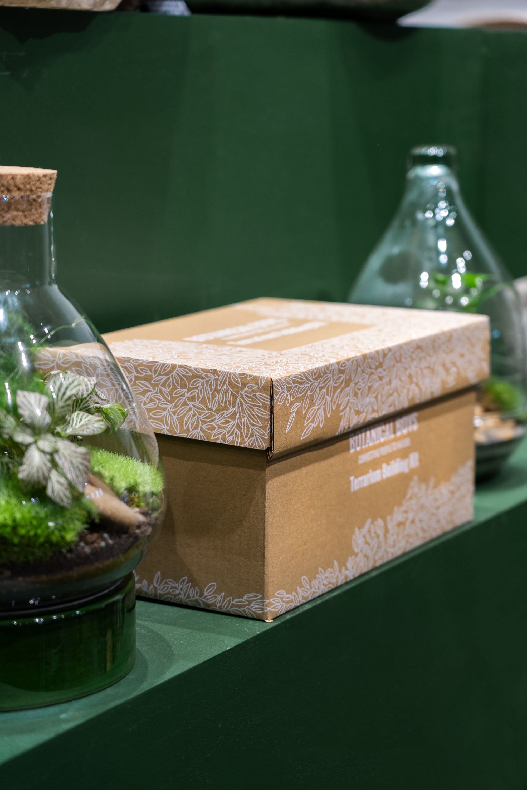 thumbnail image 2 of DIY Mason Jar Terrarium Kit - Complete Starter Set For Succulents & Air Plants 2 of 13