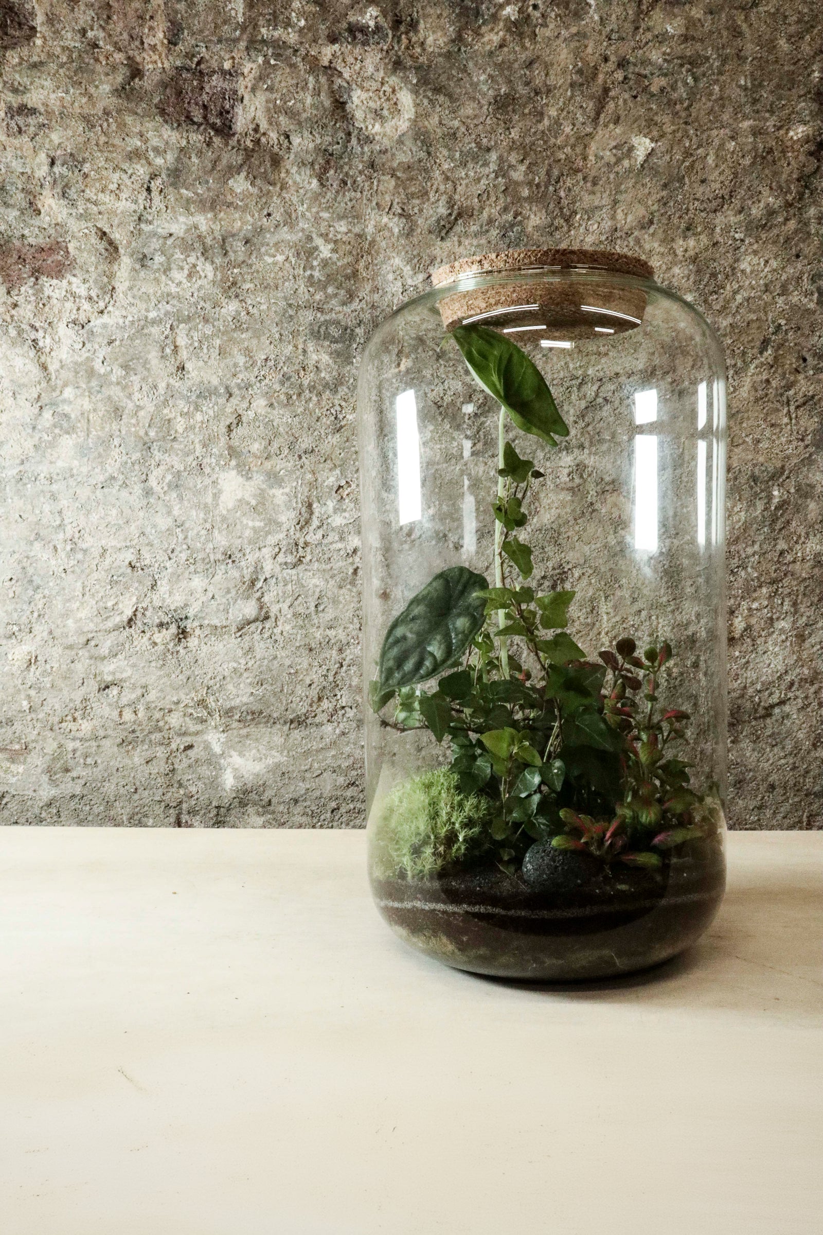 Contemporary Jar Terrarium 40x27cm FR33