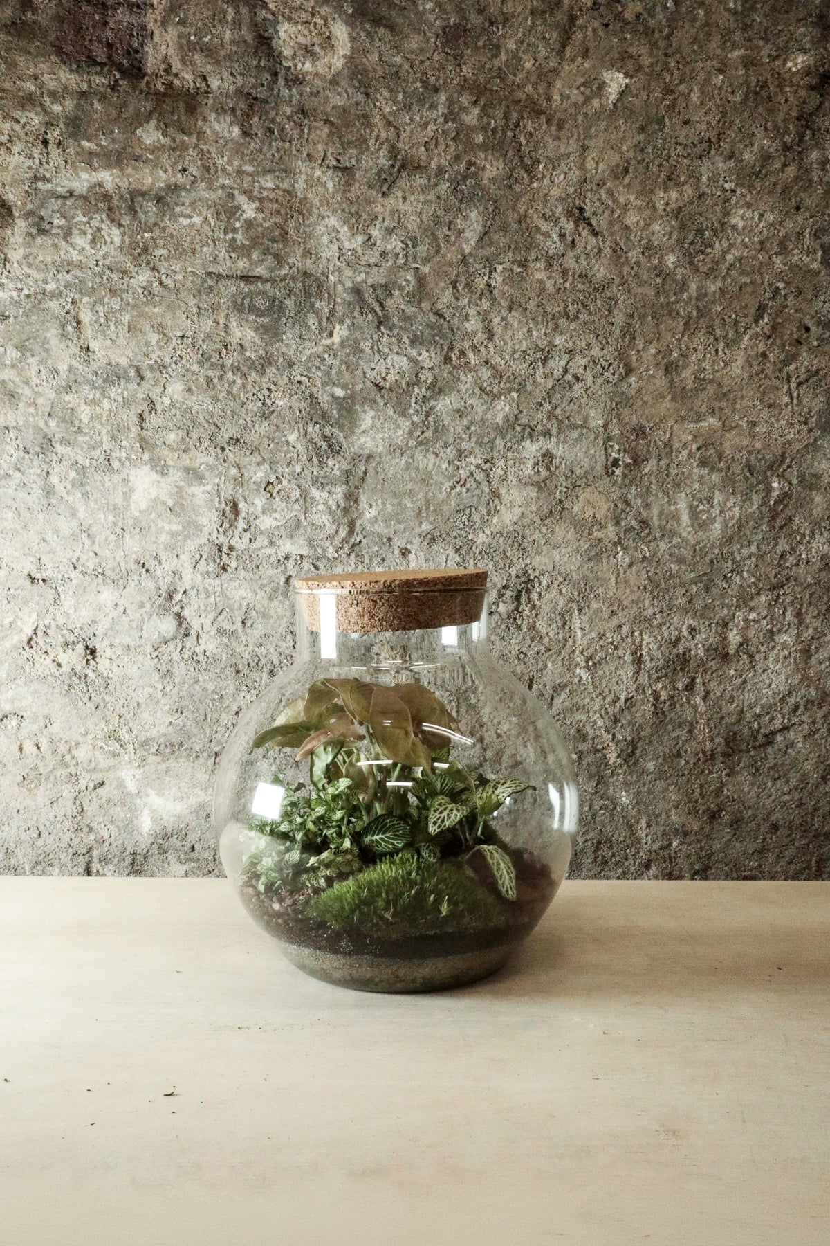 Bowl Jar Terrarium 44x34cm FR40