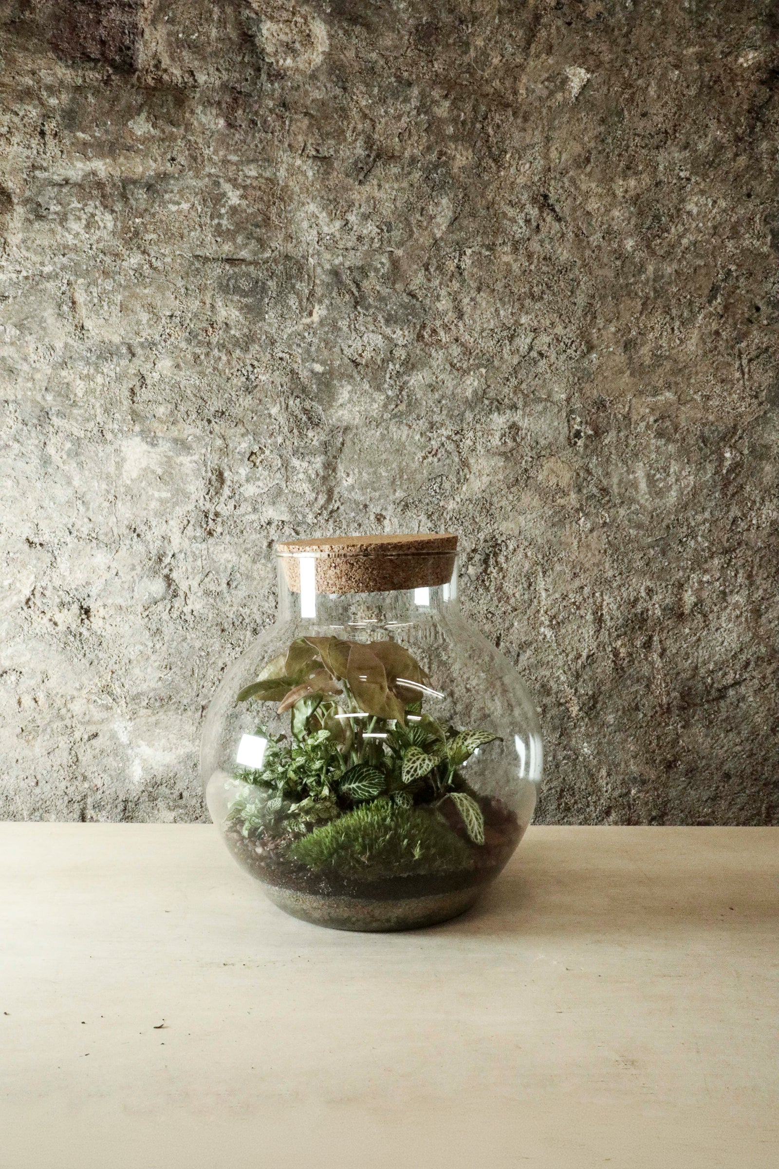 Bowl Jar Terrarium 44x34cm FR40