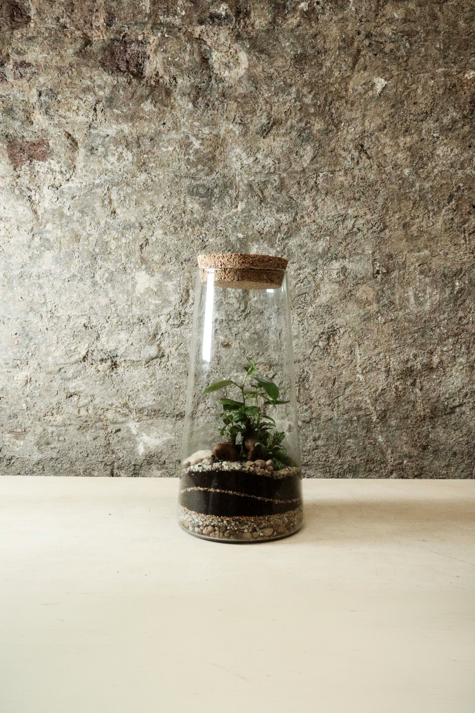 Tapered Jar Terrarium 31x15cm FR34