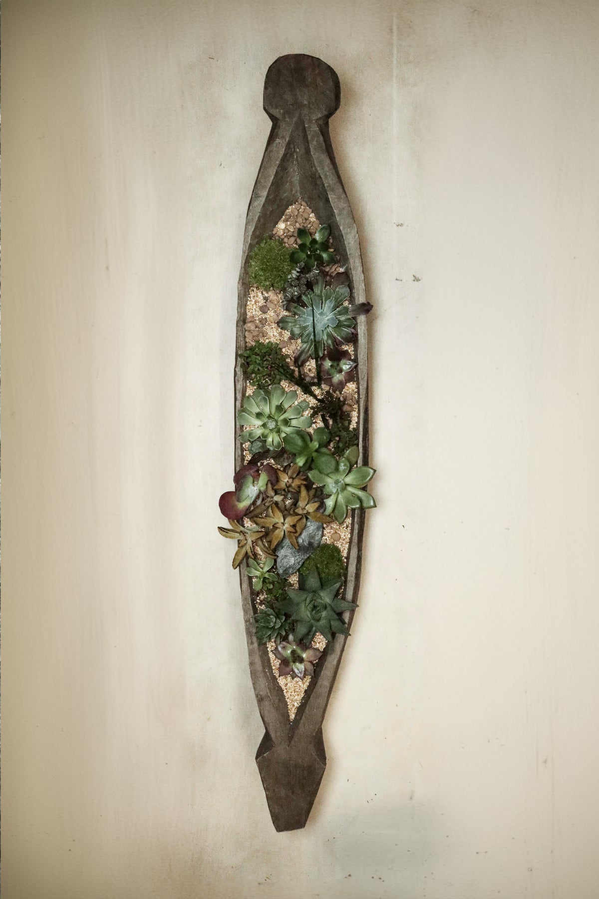 Mokoro Canoe planted with succulent garden FR39