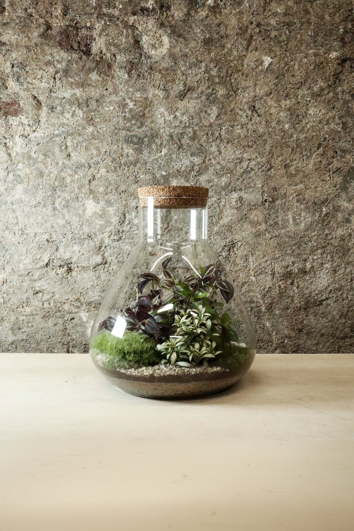Large Lab Jar Terrarium 30x27cm FR35