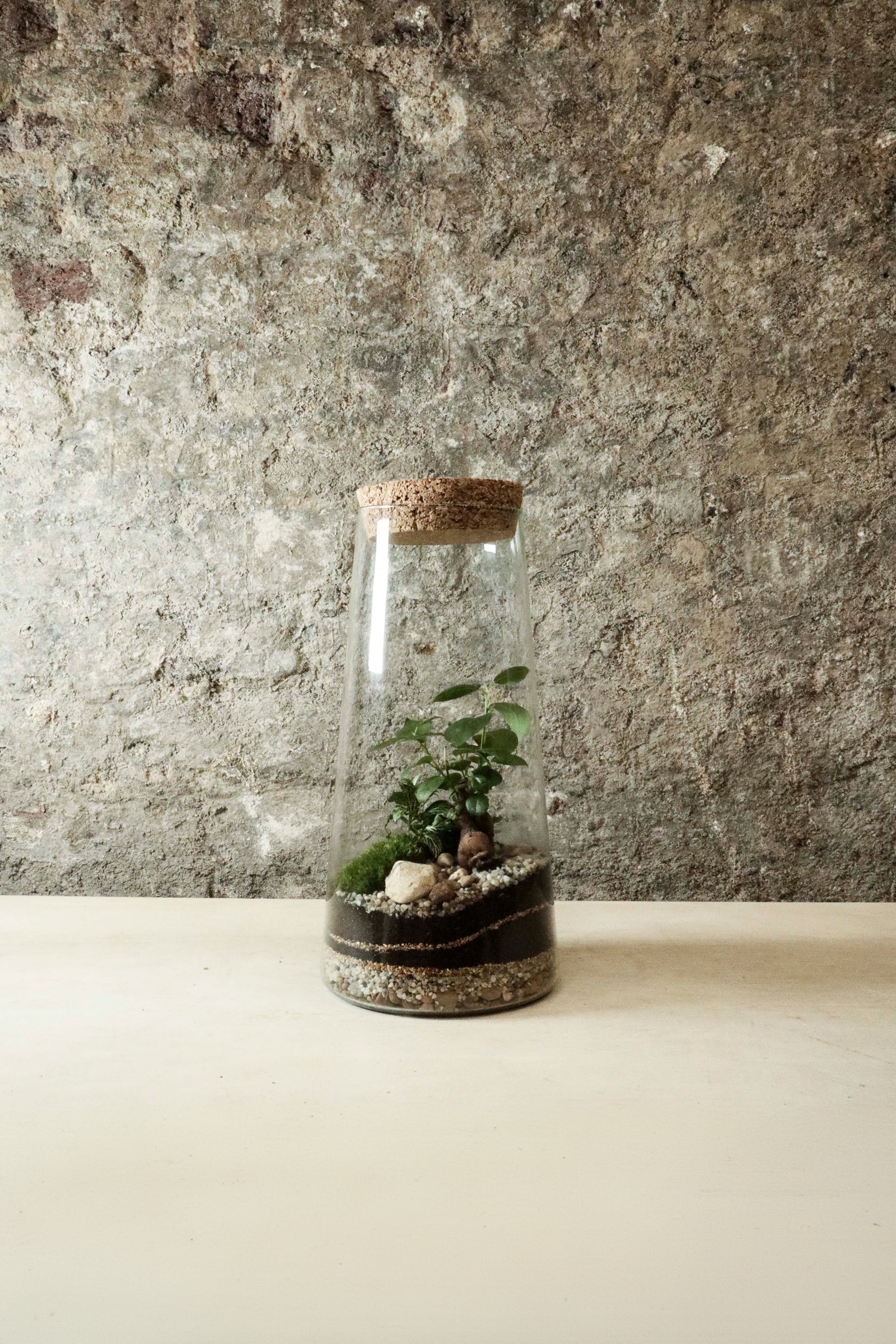 Tapered Jar Terrarium 31x15cm FR34