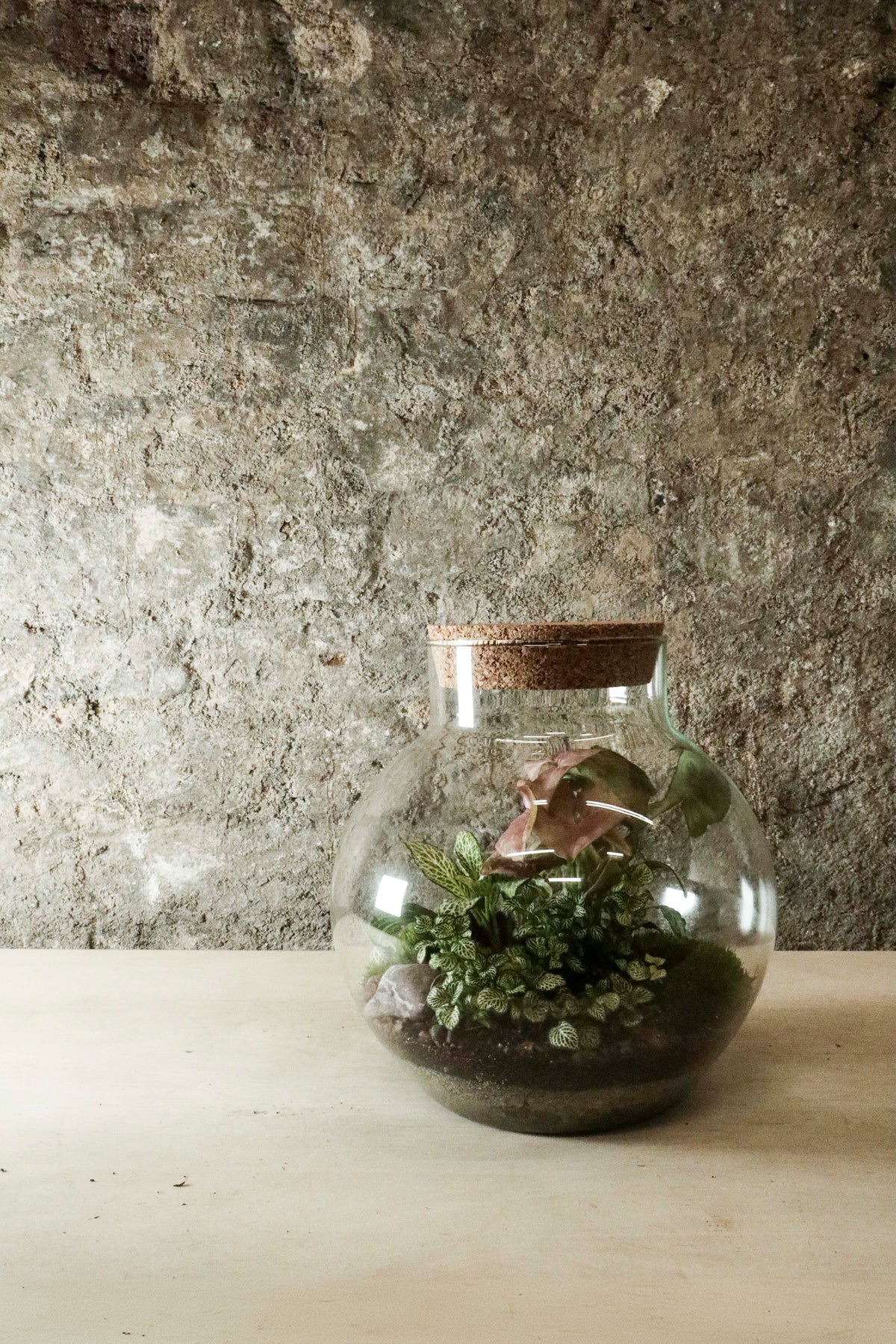 Bowl Jar Terrarium 44x34cm FR40