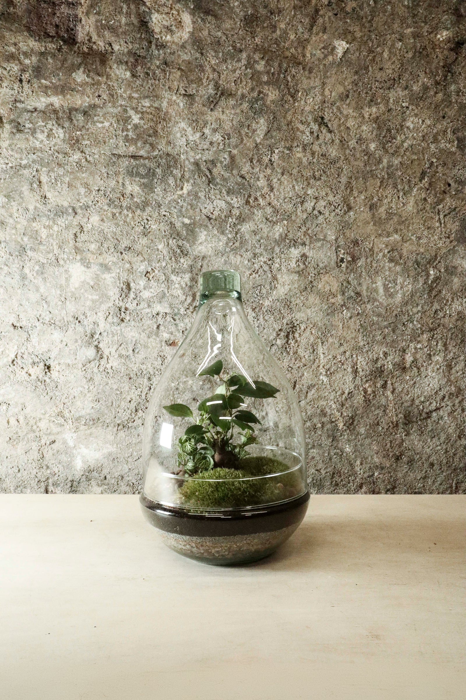 Teardrop Terrarium - FR41