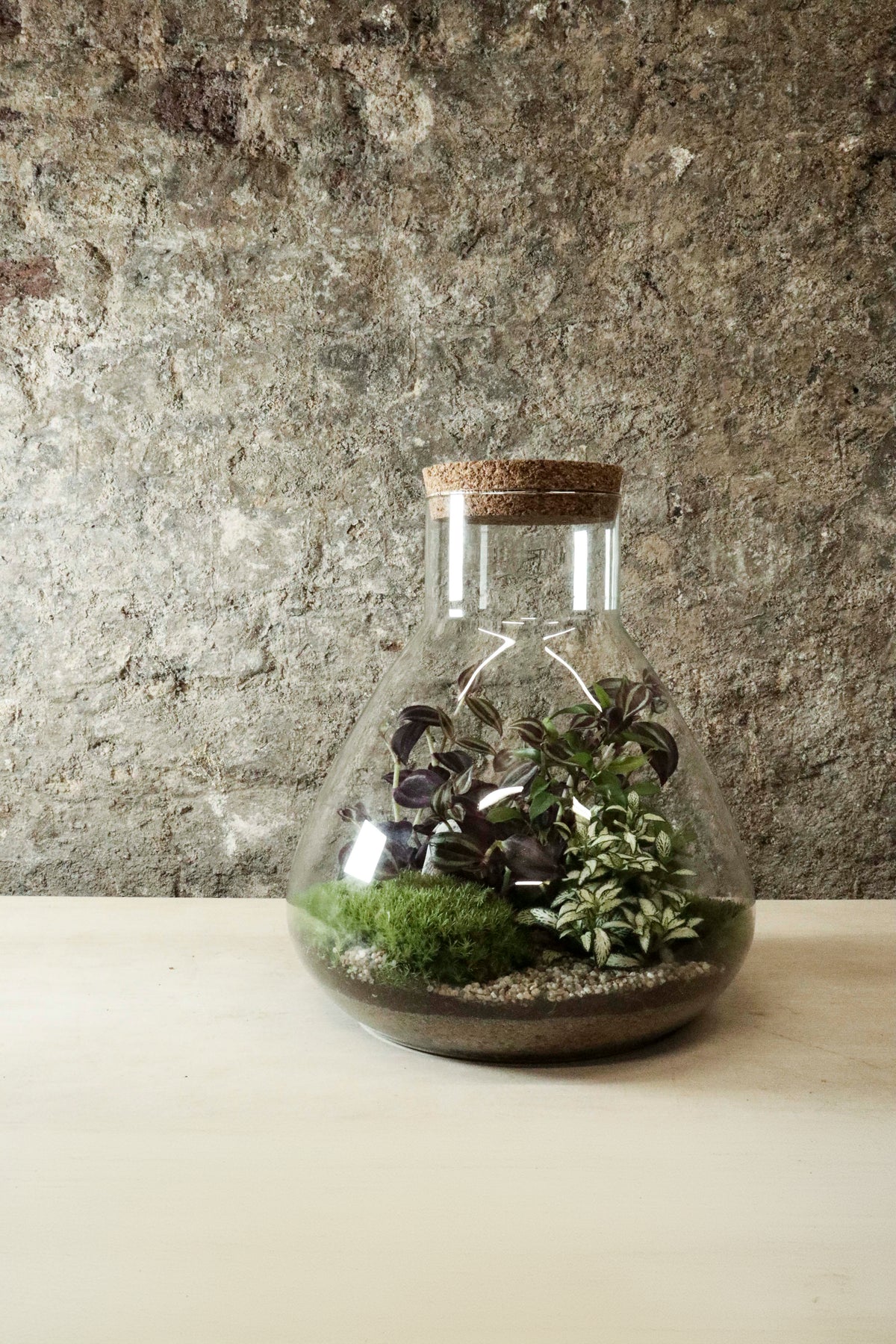 Large Lab Jar Terrarium 30x27cm FR35