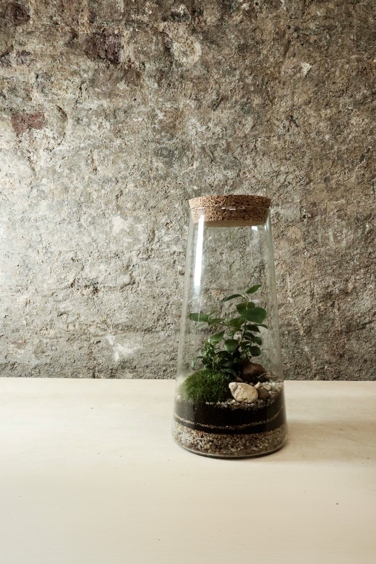 Tapered Jar Terrarium 31x15cm FR34