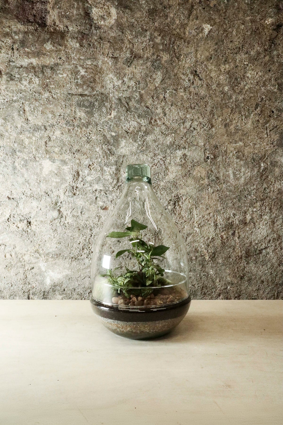Teardrop Terrarium - FR41