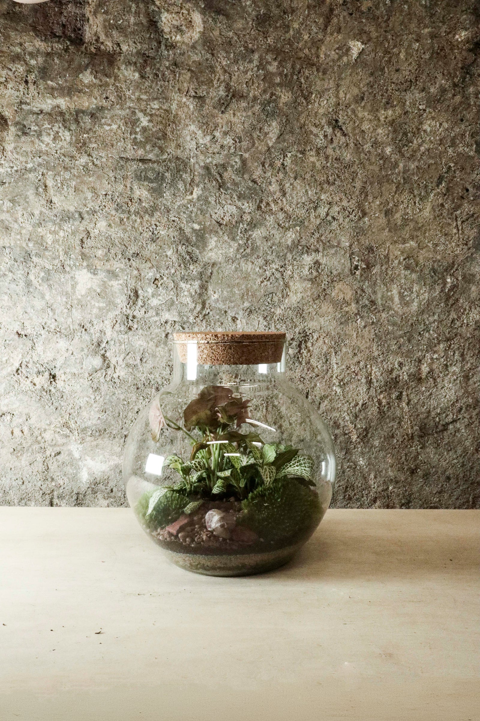 Bowl Jar Terrarium 44x34cm FR40