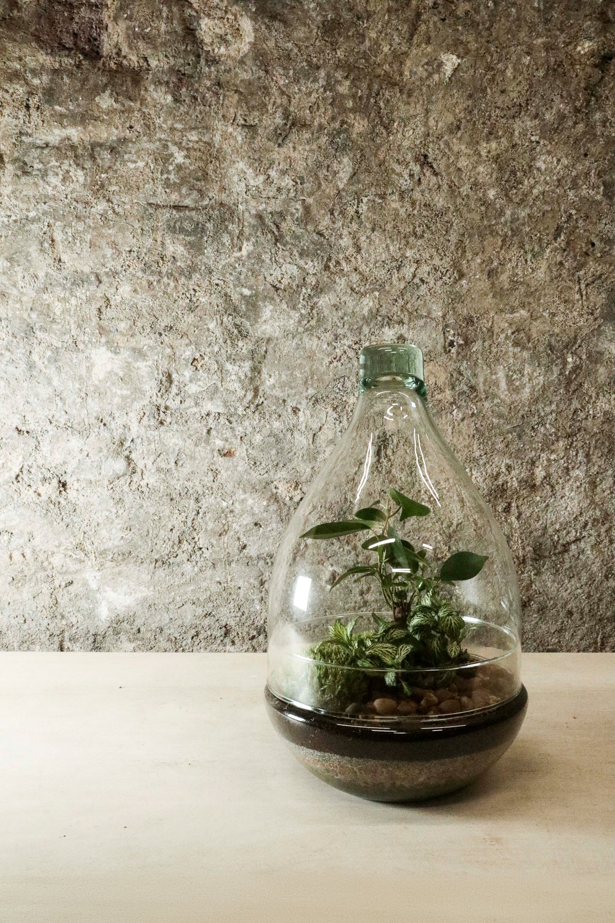Teardrop Terrarium - FR41