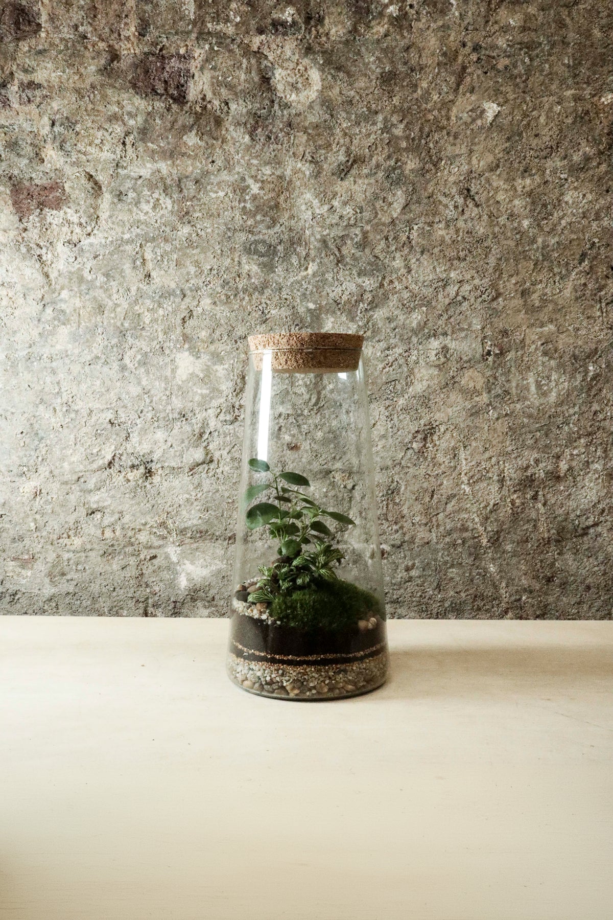 Tapered Jar Terrarium 31x15cm FR34