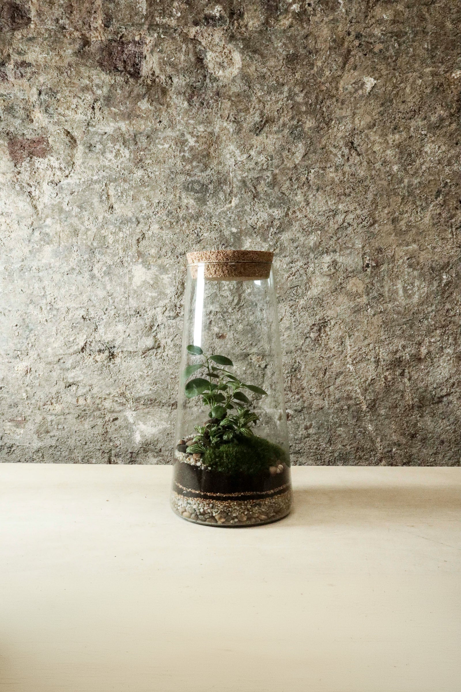 Tapered Jar Terrarium 31x15cm FR34