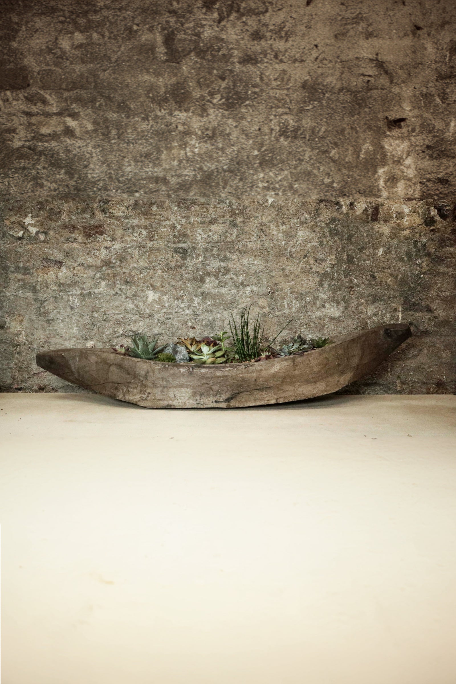 Mokoro Canoe planted with succulent garden FR39