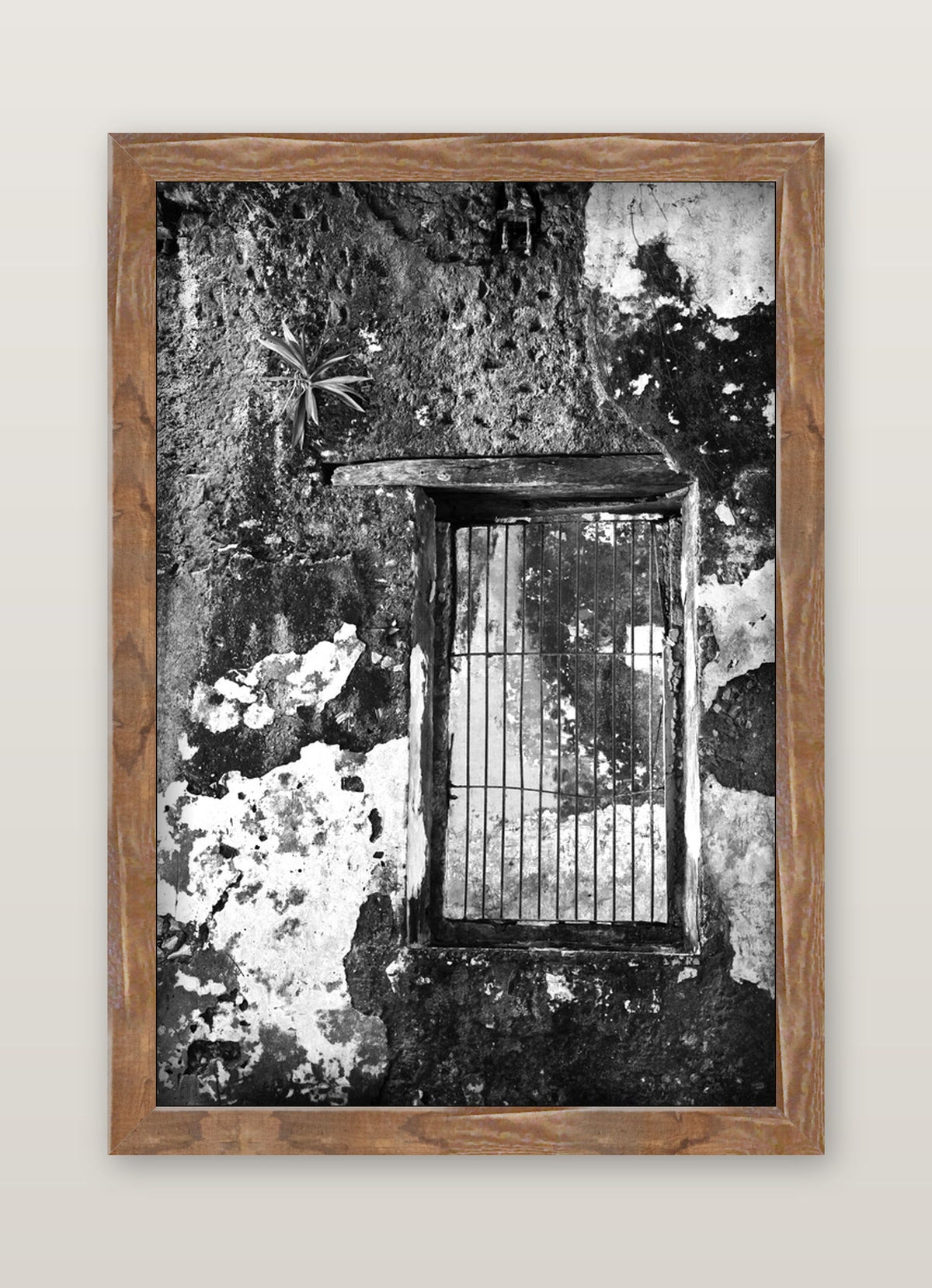 framed
