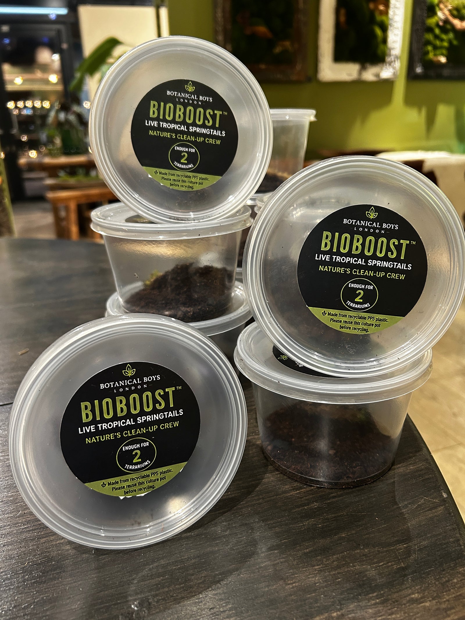BioBoost™ Live Tropical Springtails