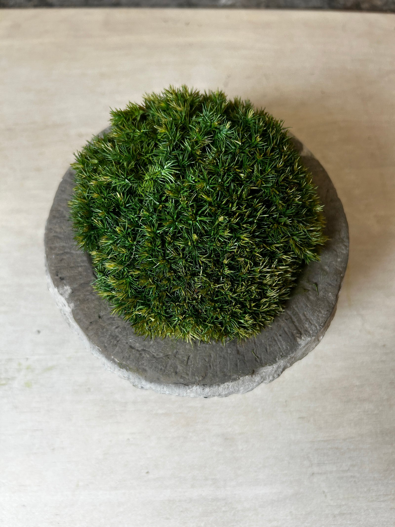 Antique Stone Mortar with Moss FR49