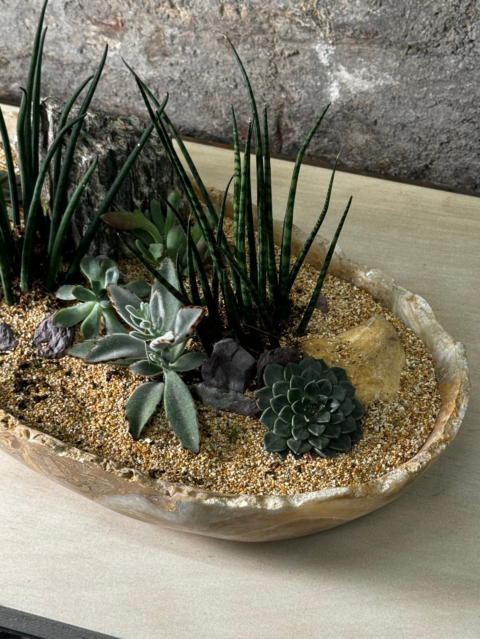Premium Rough Edge Onyx Succulent Garden FR10