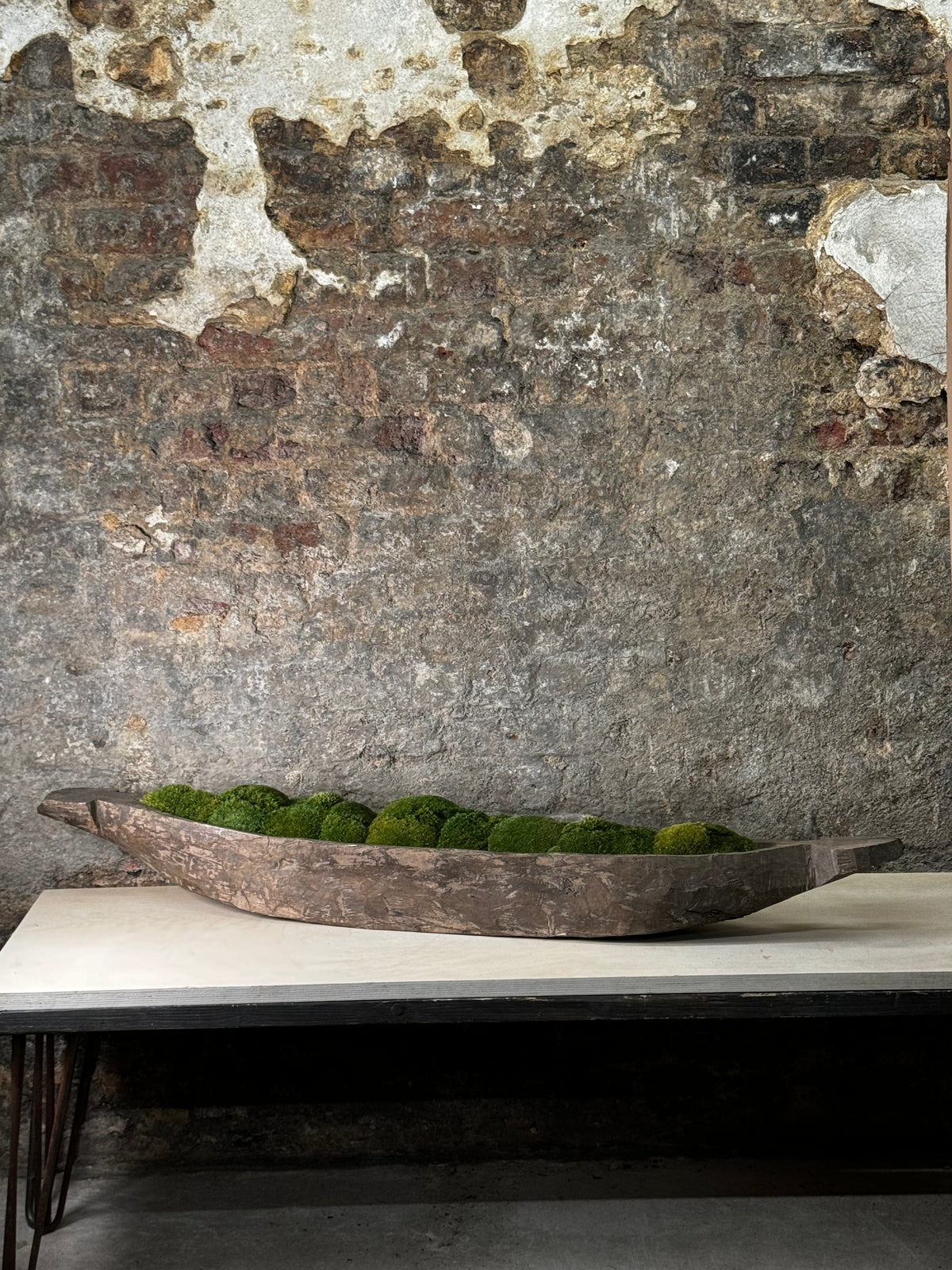 Mokoro Canoe with Preserved Moss Table Display FR57